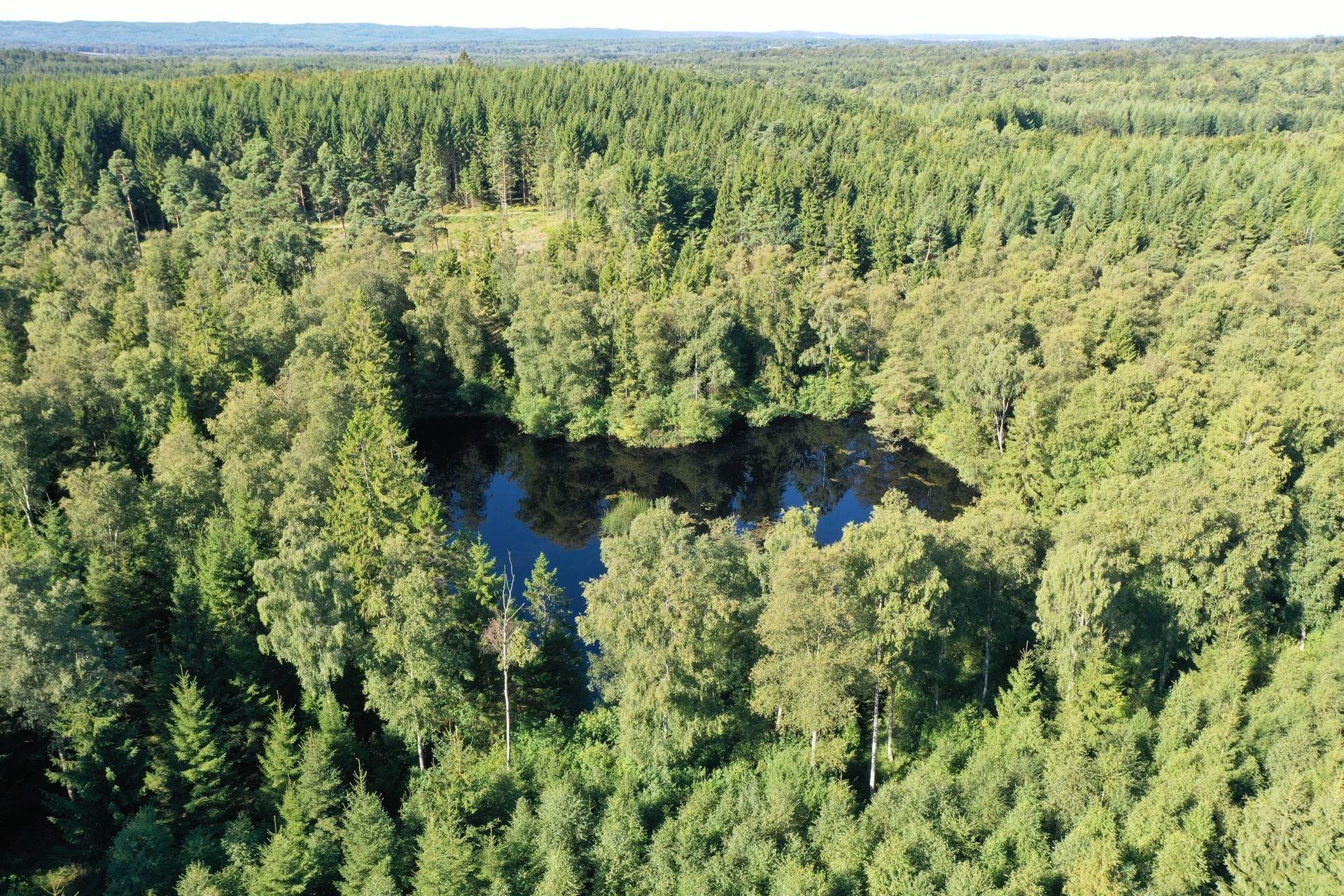 Gård/skog på Riseberga-Kroken 1:3 Klippans kommun - bild 3