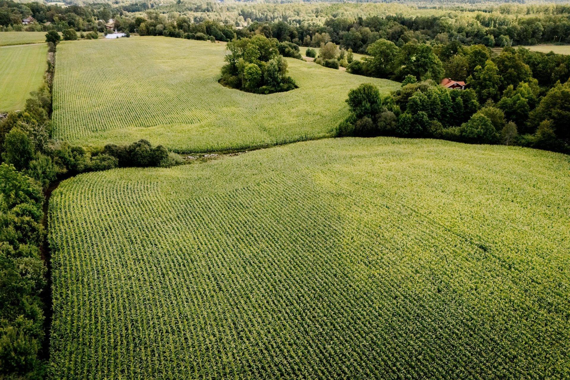 190 m² Gård med jordbruk på Lunnahöja 6128 Sösdala Hässleholms kommun - bild 6