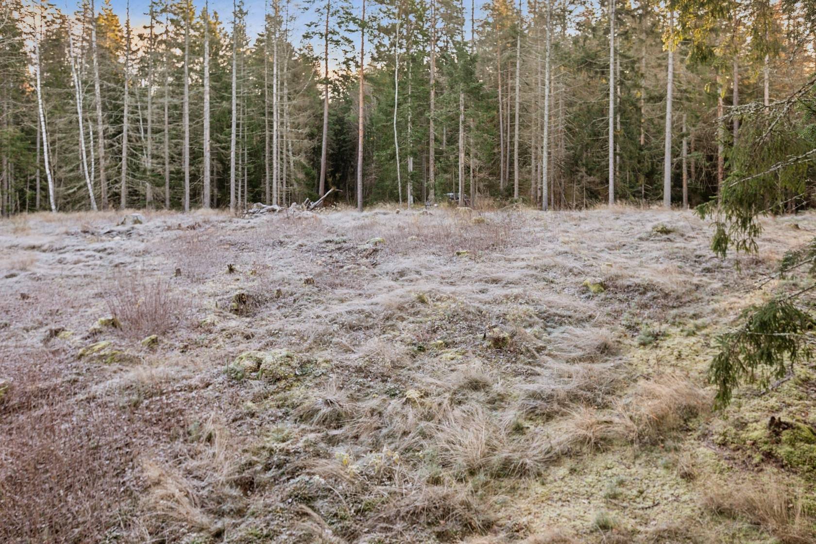 Tomt på Borg Albrektstorp 9 Norrköpings kommun - bild 14