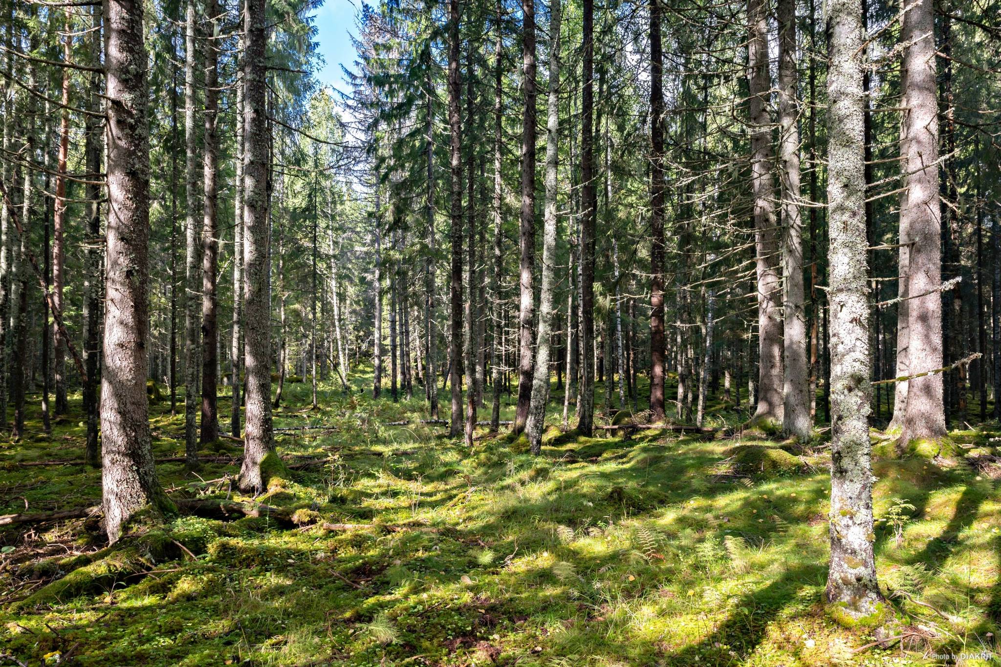 Villa på Lakenestorp 1:16 Lakene Hagfors kommun - bild 15