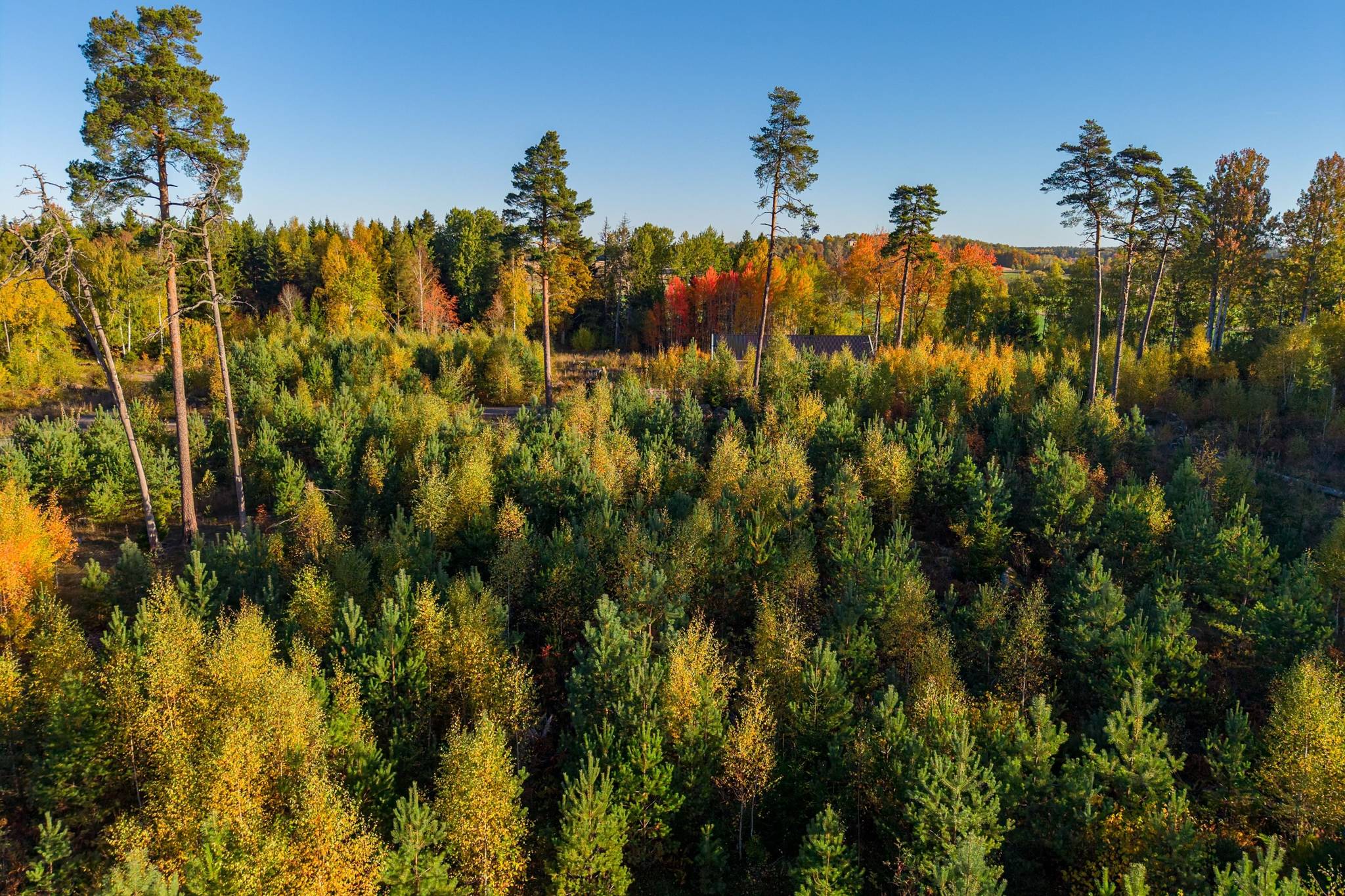 Tomt på Lena-Ekeby 40 Vattholma Uppsala kommun - bild 9