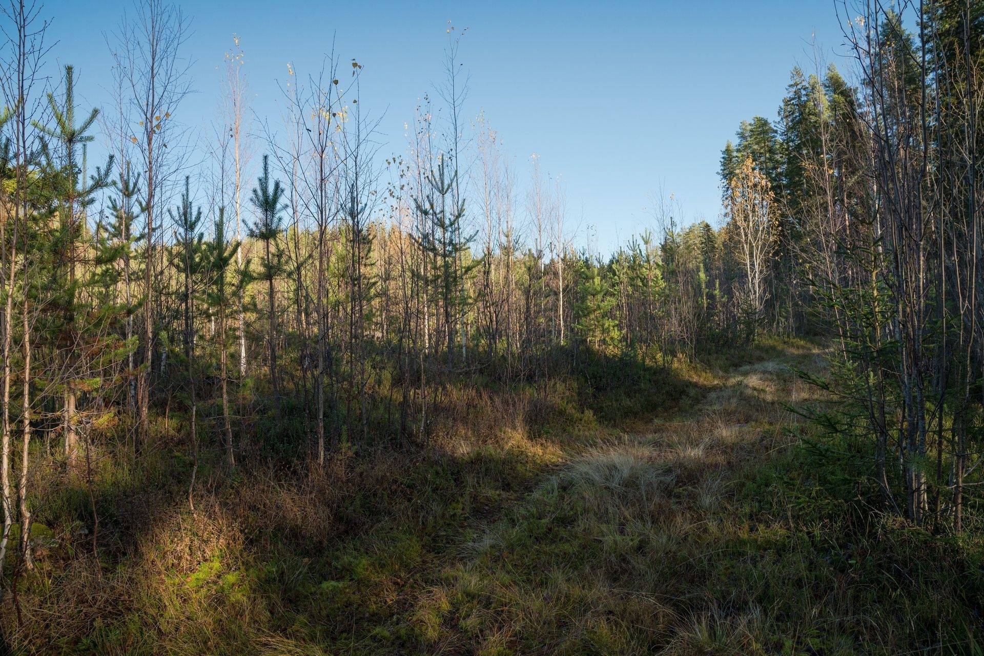4 rum Fritidsboende på Ljusvattnet 287 Burträsk Skellefteå kommun - bild 9