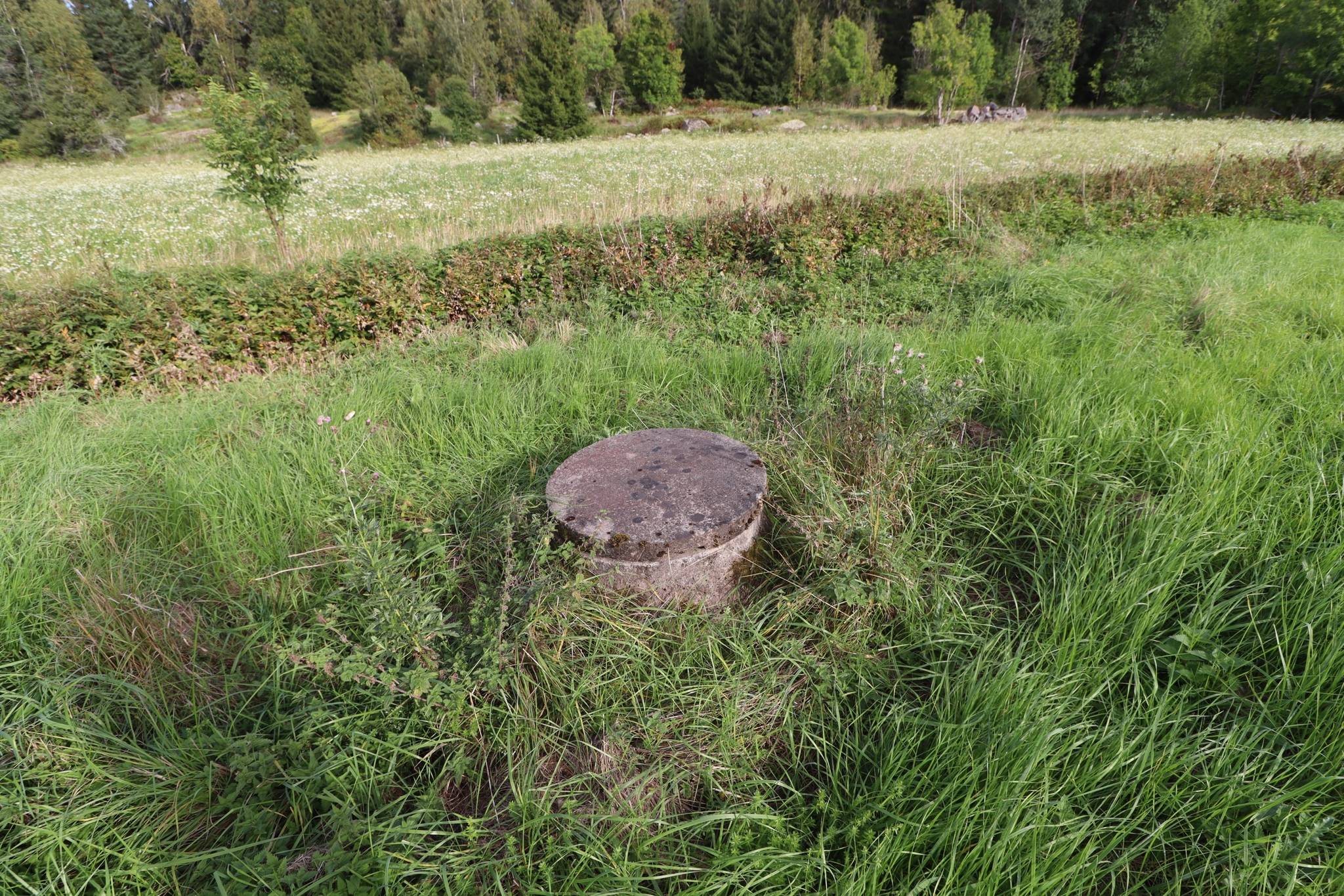 5 rum Gård utan jordbruk på Myskjalundsvägen 2 & 4 Myskja Norrtälje kommun - bild 44