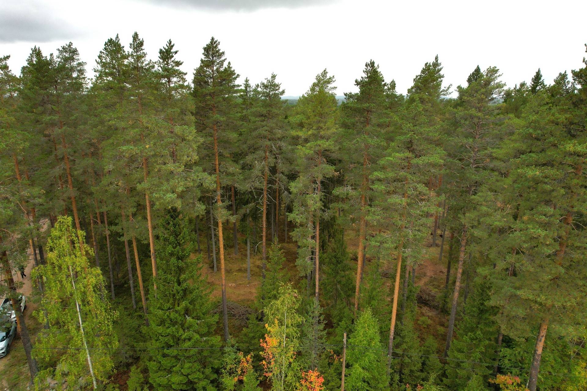 Gård med jordbruk på Kullmyran Sandvikens kommun - bild 31