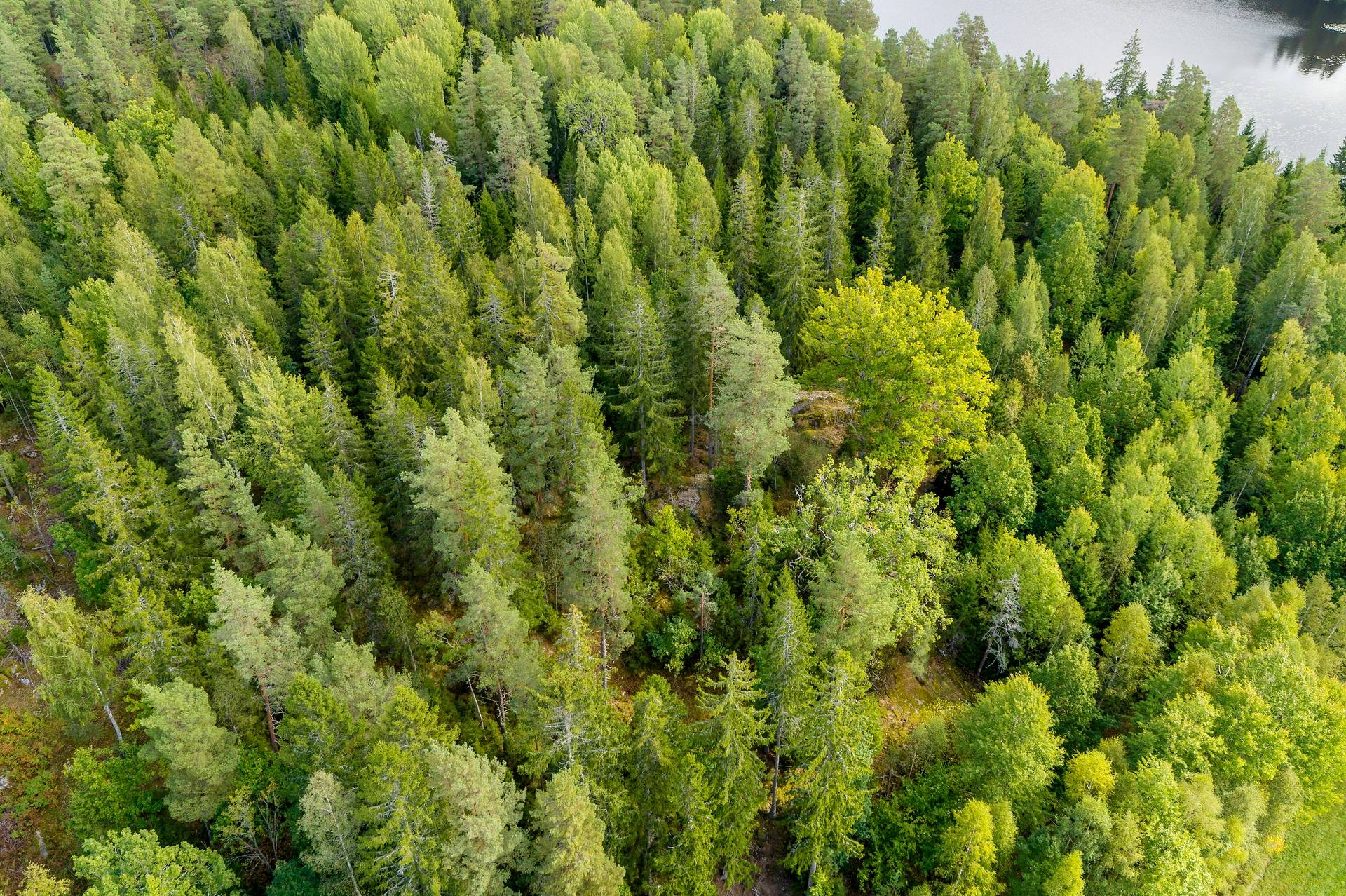 190 m² Gård med jordbruk på Djupviksängen Askersunds kommun - bild 2