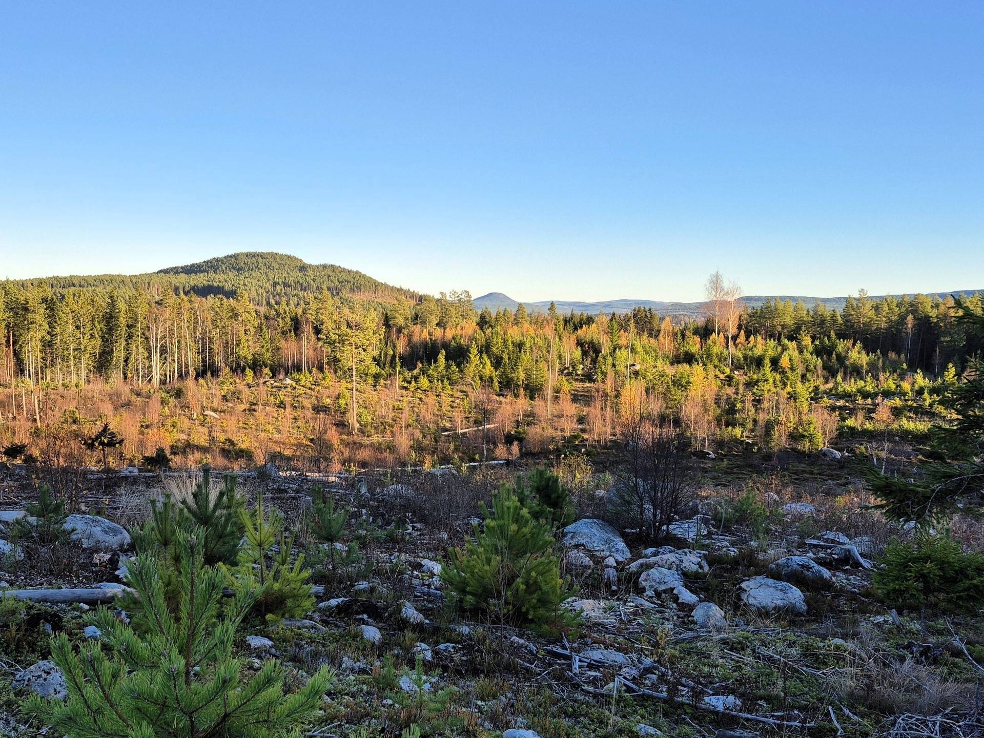 LJUSDAL - SJÖVÄSTA, Ljusdals kommun