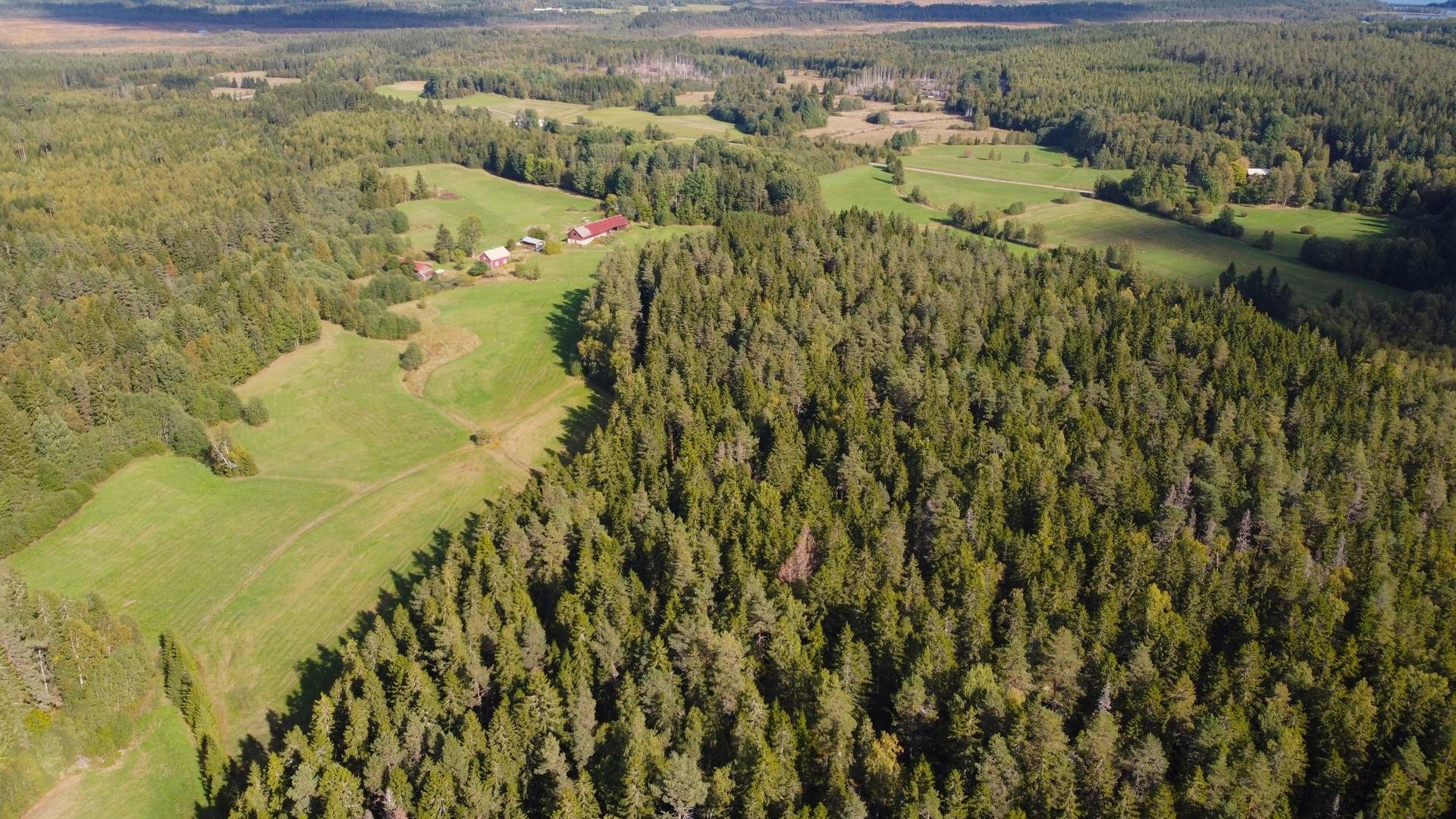Gård med jordbruk på Snårbotten Laggartorp 23 Laggartorp Storfors kommun - bild 22