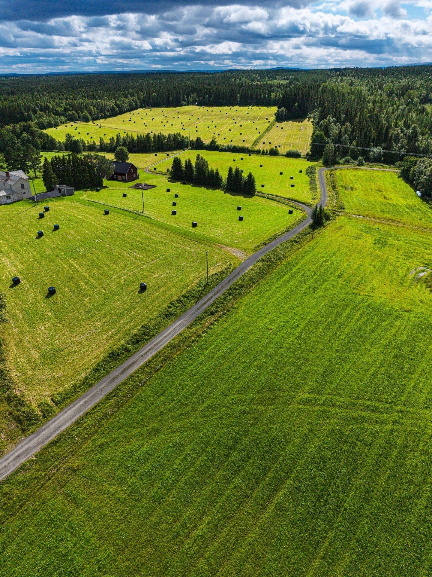 Gård med jordbruk på Högenvägen 29 Hallen Åre kommun - bild 71