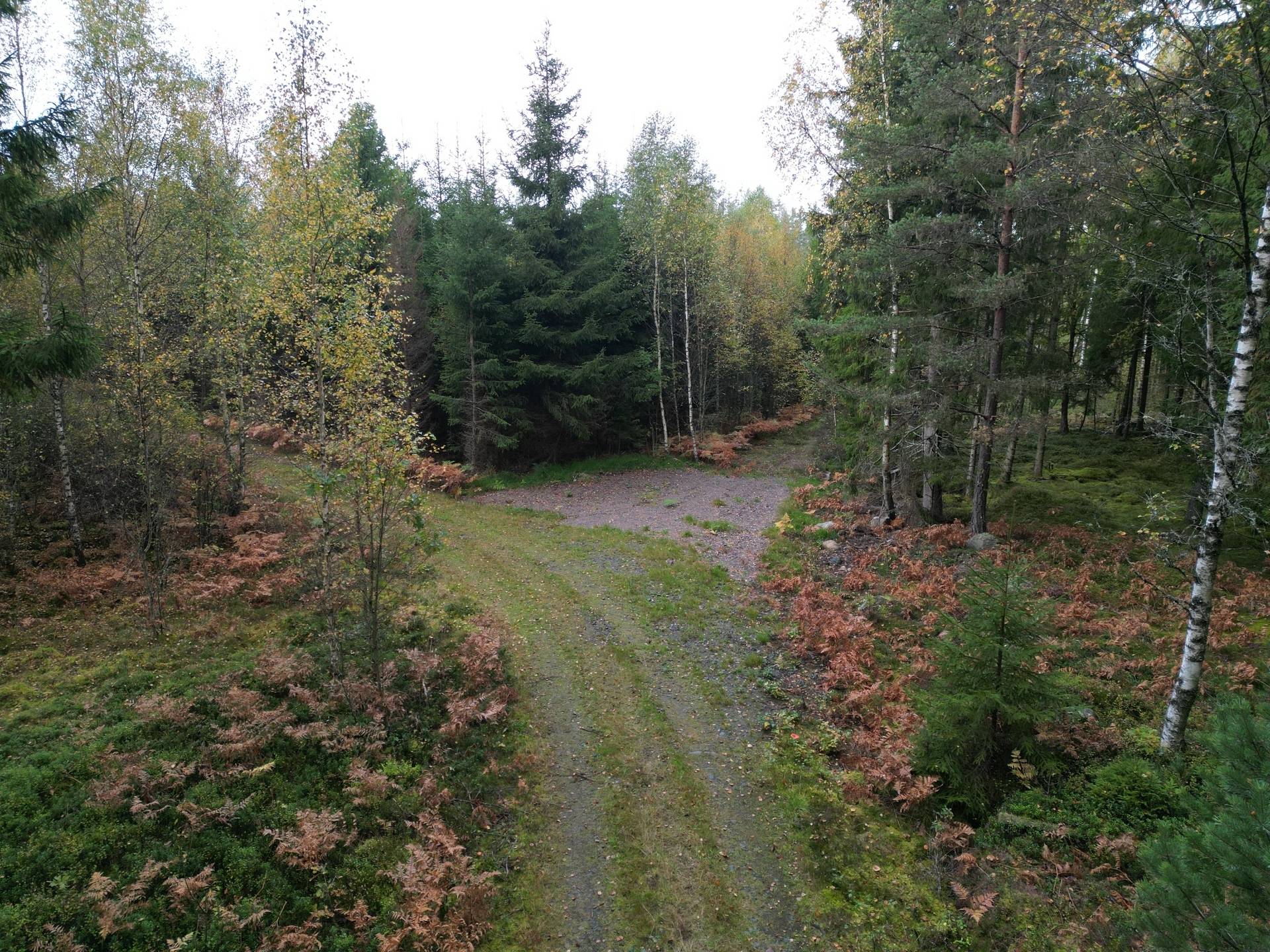 Gård med jordbruk på Yttrebo 107 Hylte kommun - bild 6