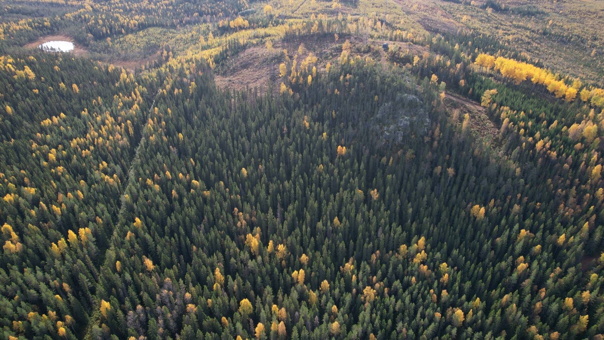 Gård/skog på RAGUNDA RAGUNDA-BÖLE 2:107 Ragunda kommun - bild 17