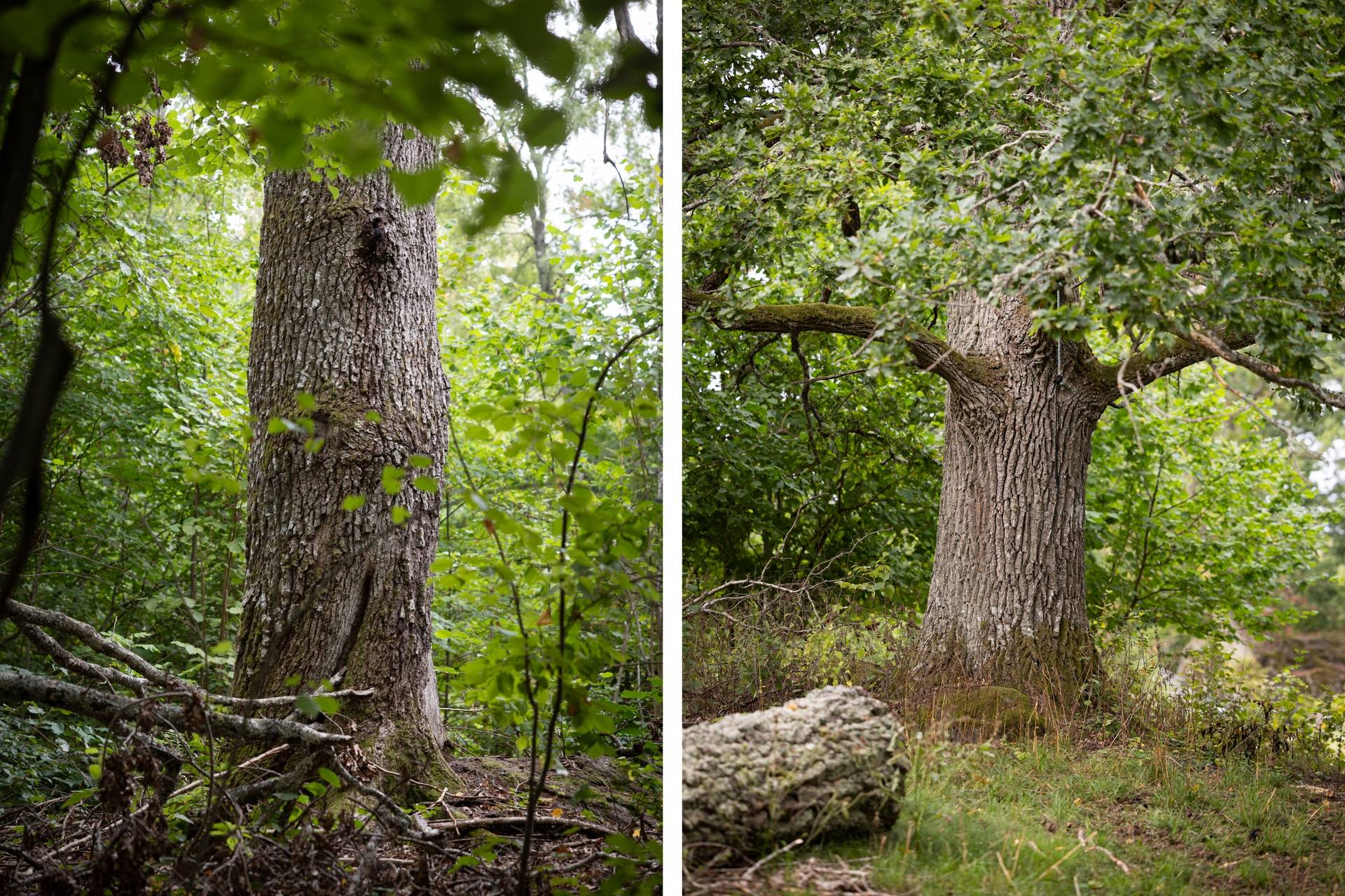 10 rum Gård/skog på Torsätra gård 1 Nykvarn Nykvarns kommun - bild 22
