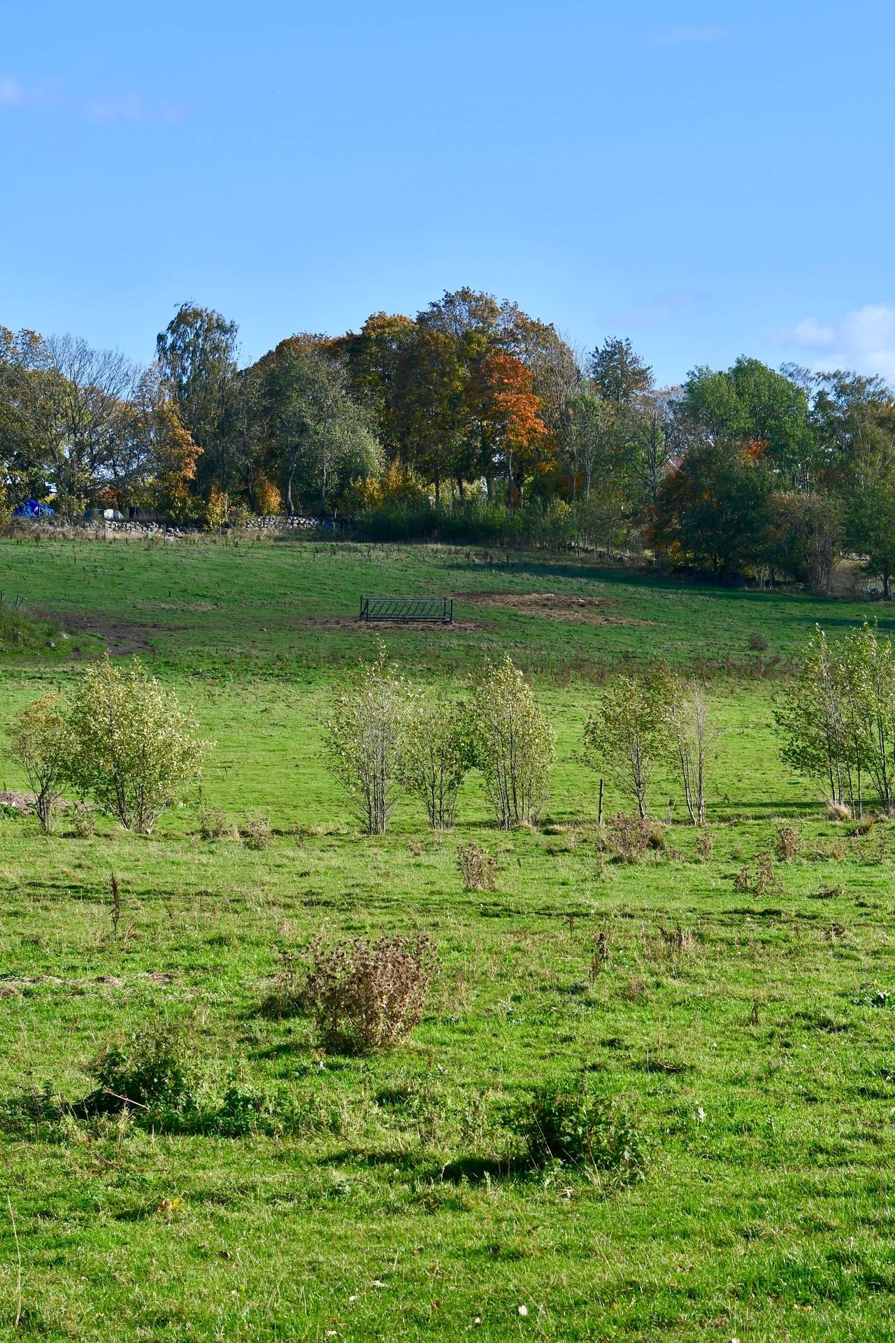 Gård med skogsbruk Binneberg Skövde kommun - bild 39