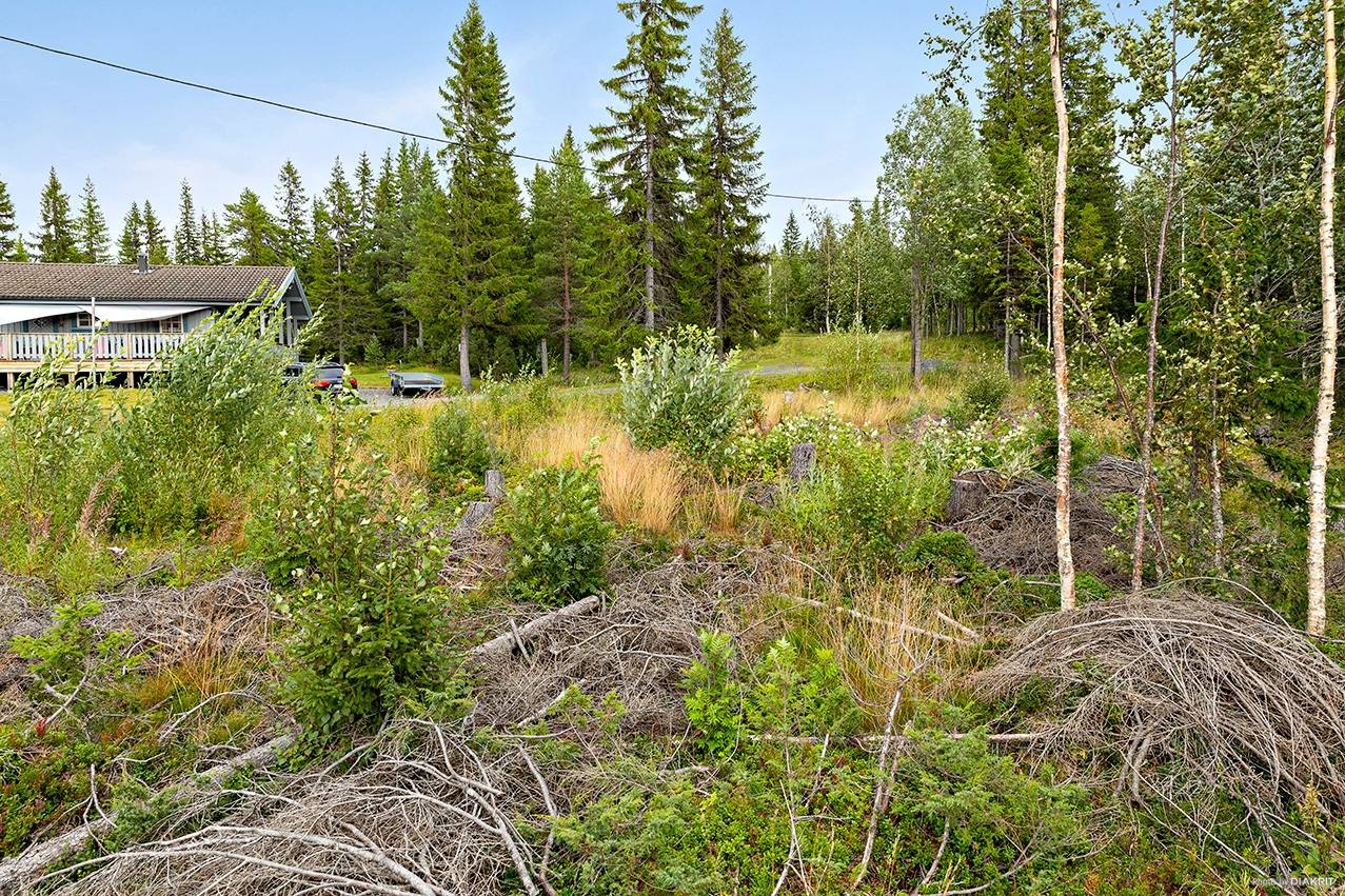 Tomt på Skogvaktarvägen 11 Rislängden Åre kommun - bild 10