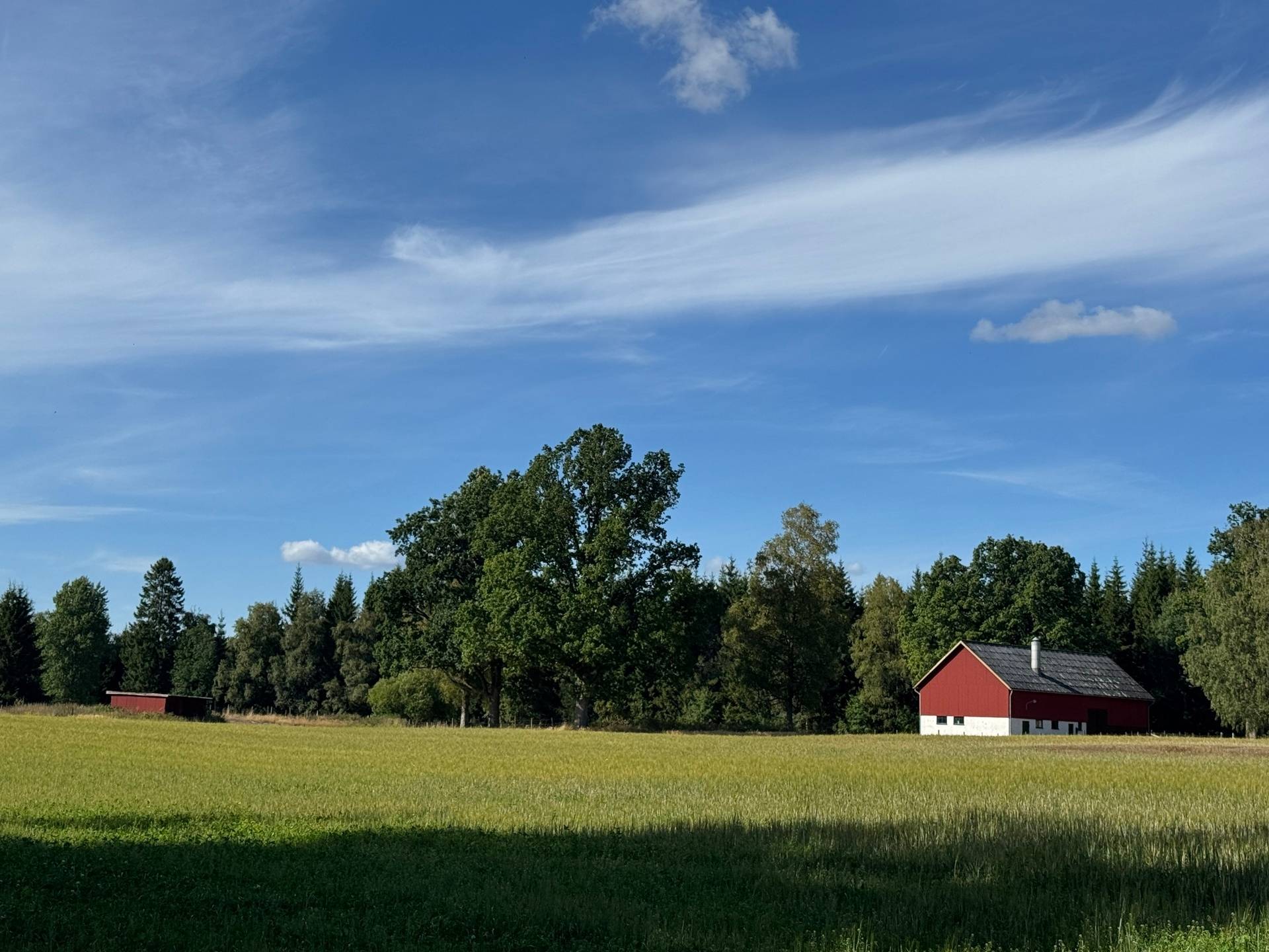 Gård med jordbruk på Torstorp Stugan 1 Svenljunga Svenljunga kommun - bild 38