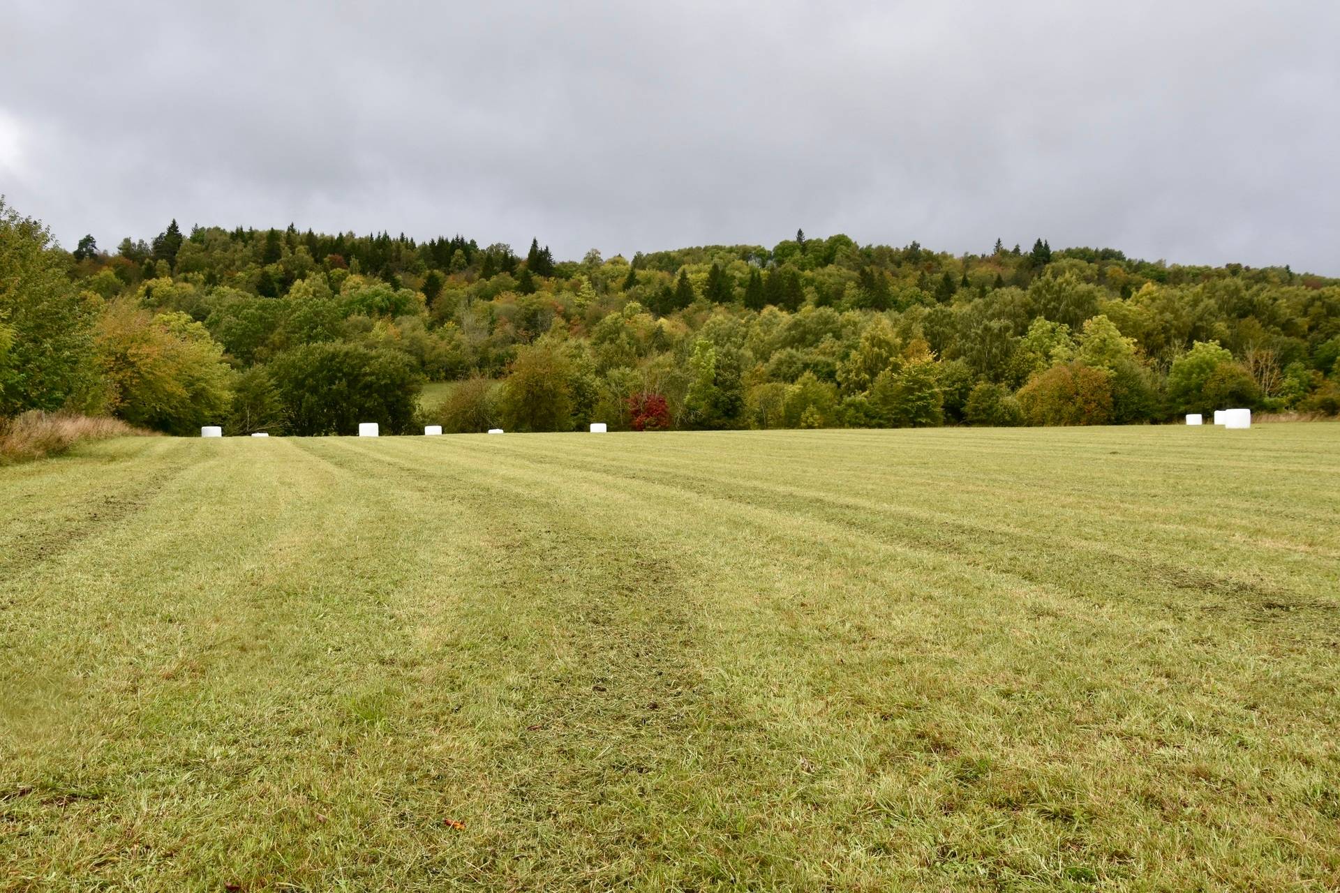 4 rum Gård med jordbruk på Borgunda Börsbo Borgunda Falköpings kommun - bild 31