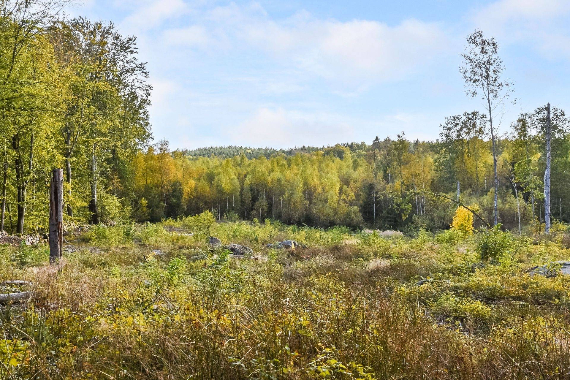 135 m² Gård med skogsbruk på Värestorp 2076 Östra Göinge kommun - bild 78