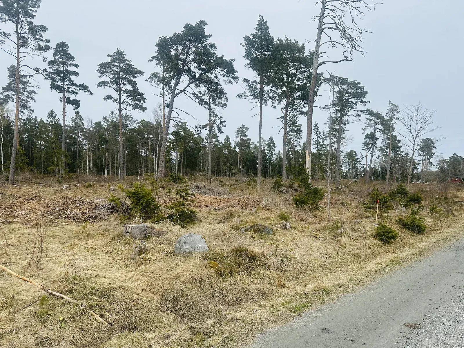 Grisslehamn, Norrtälje kommun