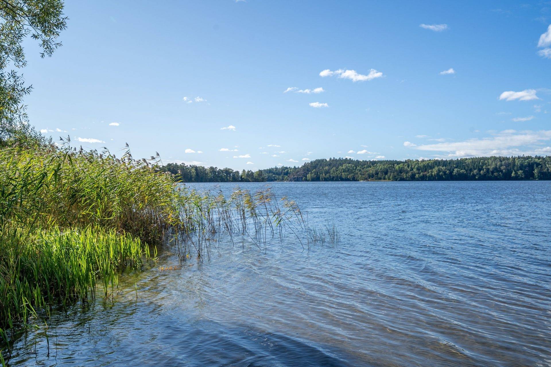 Gård/skog på Harry Martinsons väg 4 Vårdinge Södertälje kommun - bild 7