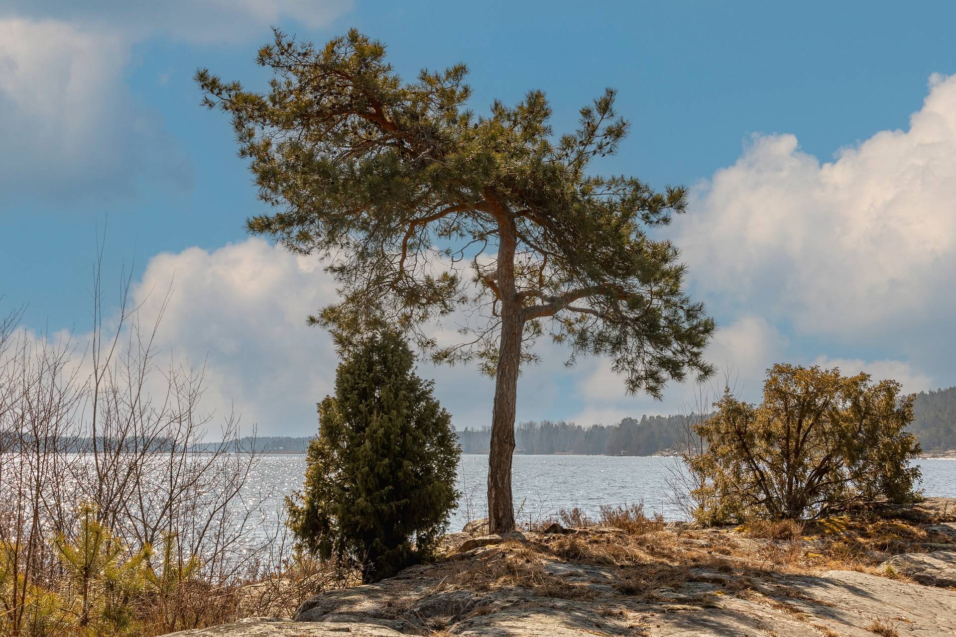 2 rum Fritidshus på Jäverön 68/32 Jäverön Karlstads kommun - bild 5