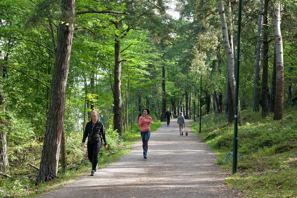 3 rum Lägenhet på Årstaskogs Väg 9C, 5tr Årstaberg Stockholms kommun - bild 25