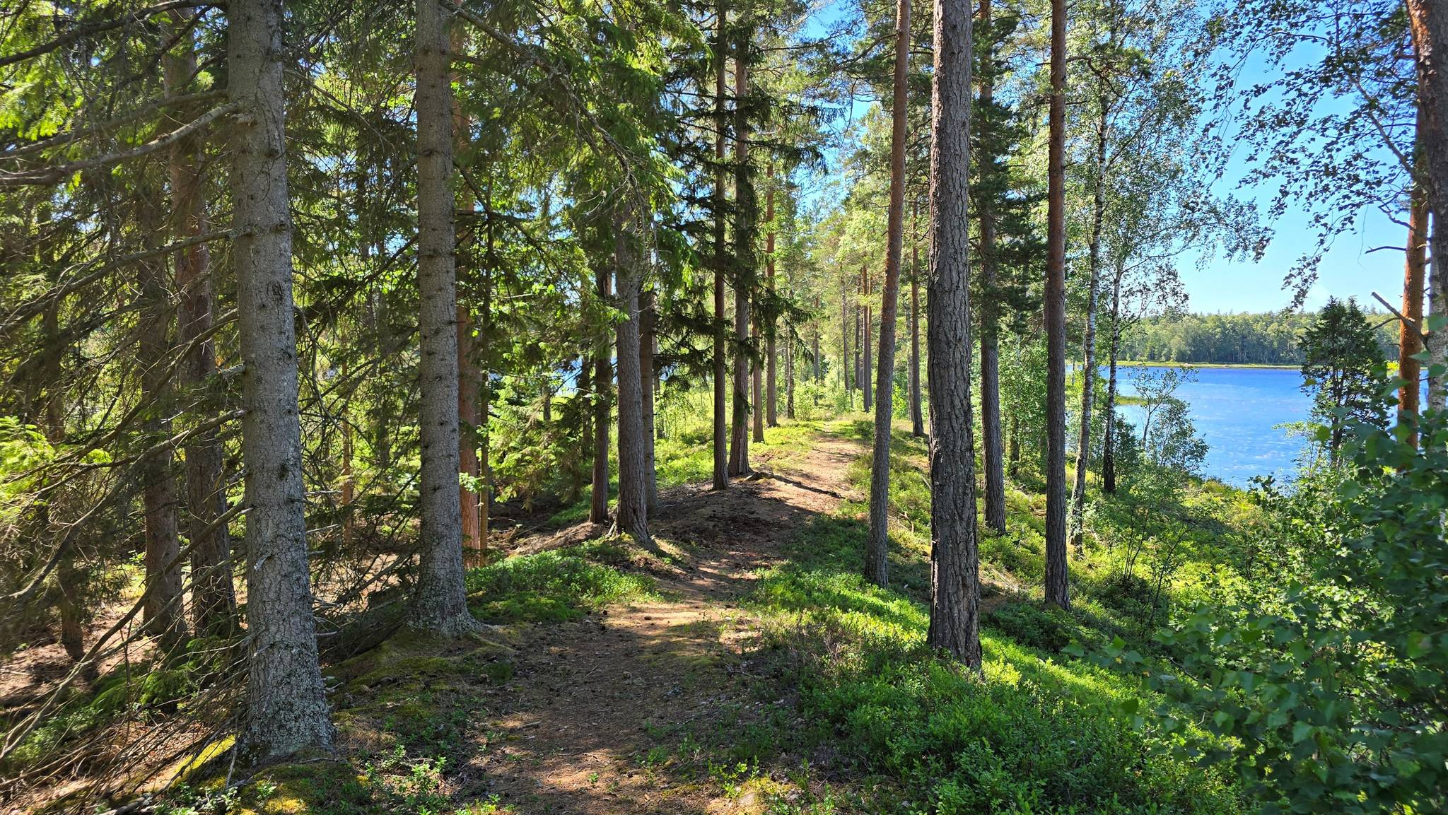 7 rum Gård med jordbruk på Gillbonderyd 5 Uppvidinge kommun - bild 141