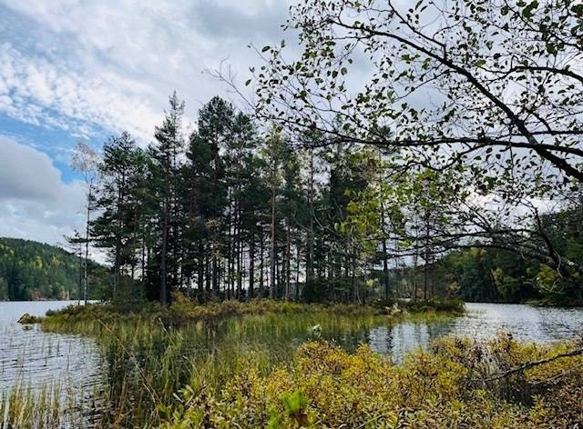 2 rum Gård med skogsbruk på Södra Lund Eklund Södra Lund Bengtsfors kommun - bild 10