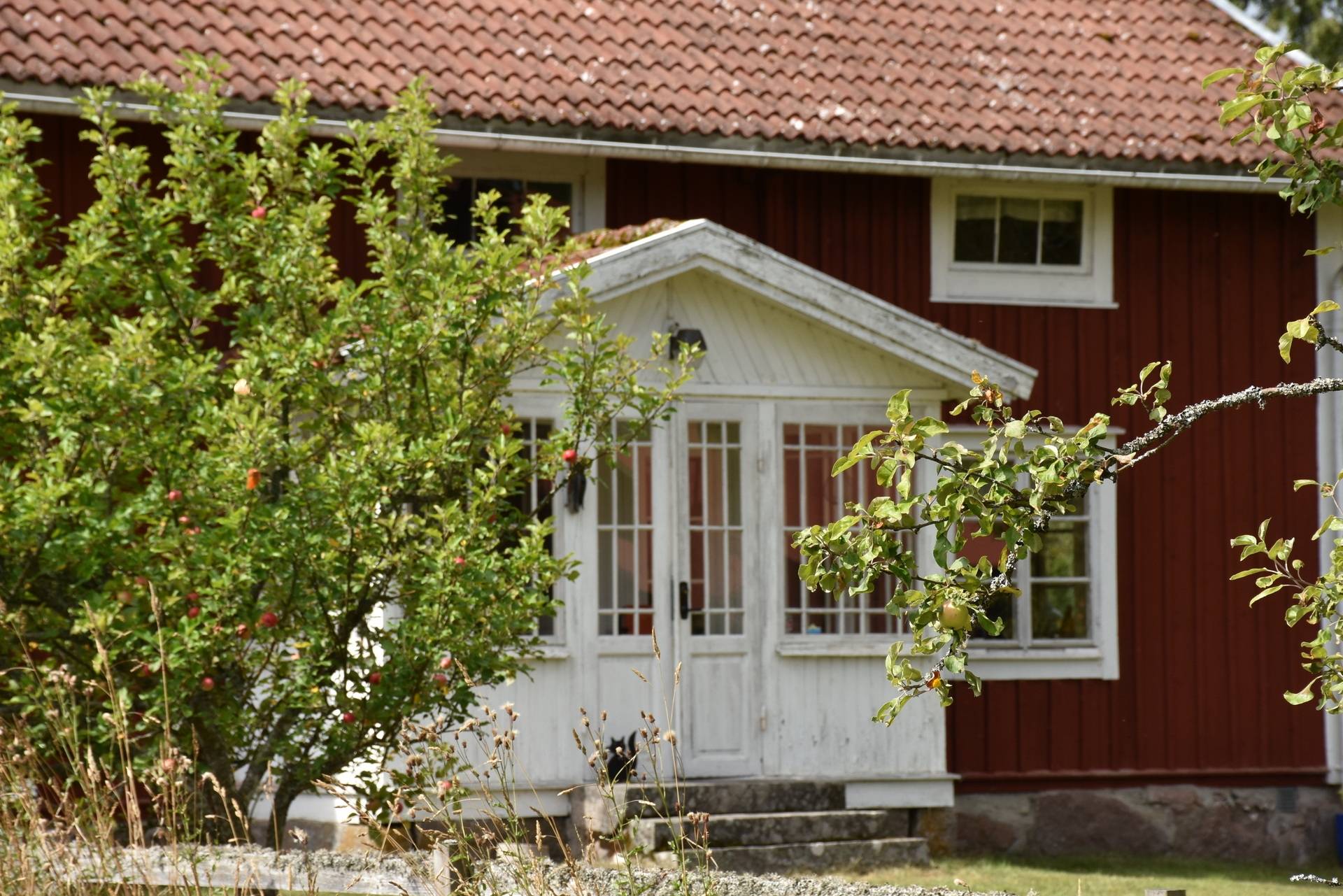 Gård med skogsbruk på Asby Släna 1 Dädesjö Växjö kommun - bild 21