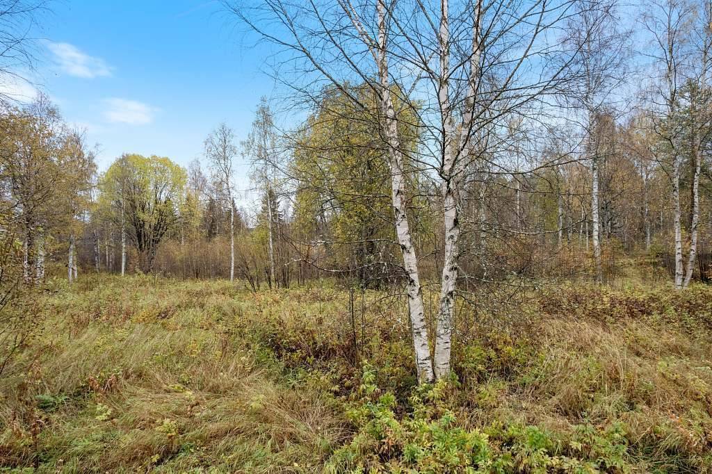 Tomt på Västerlångvägen 30 Råneå Luleå kommun - bild 4