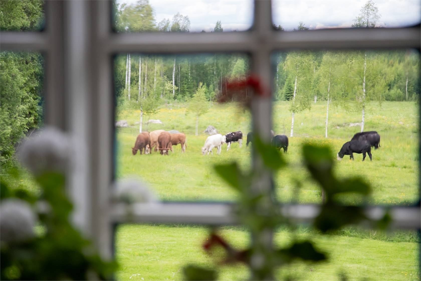 4 rum Villa på Lindesnäsvägen 11 Torsåker, Ho Hofors kommun - bild 52