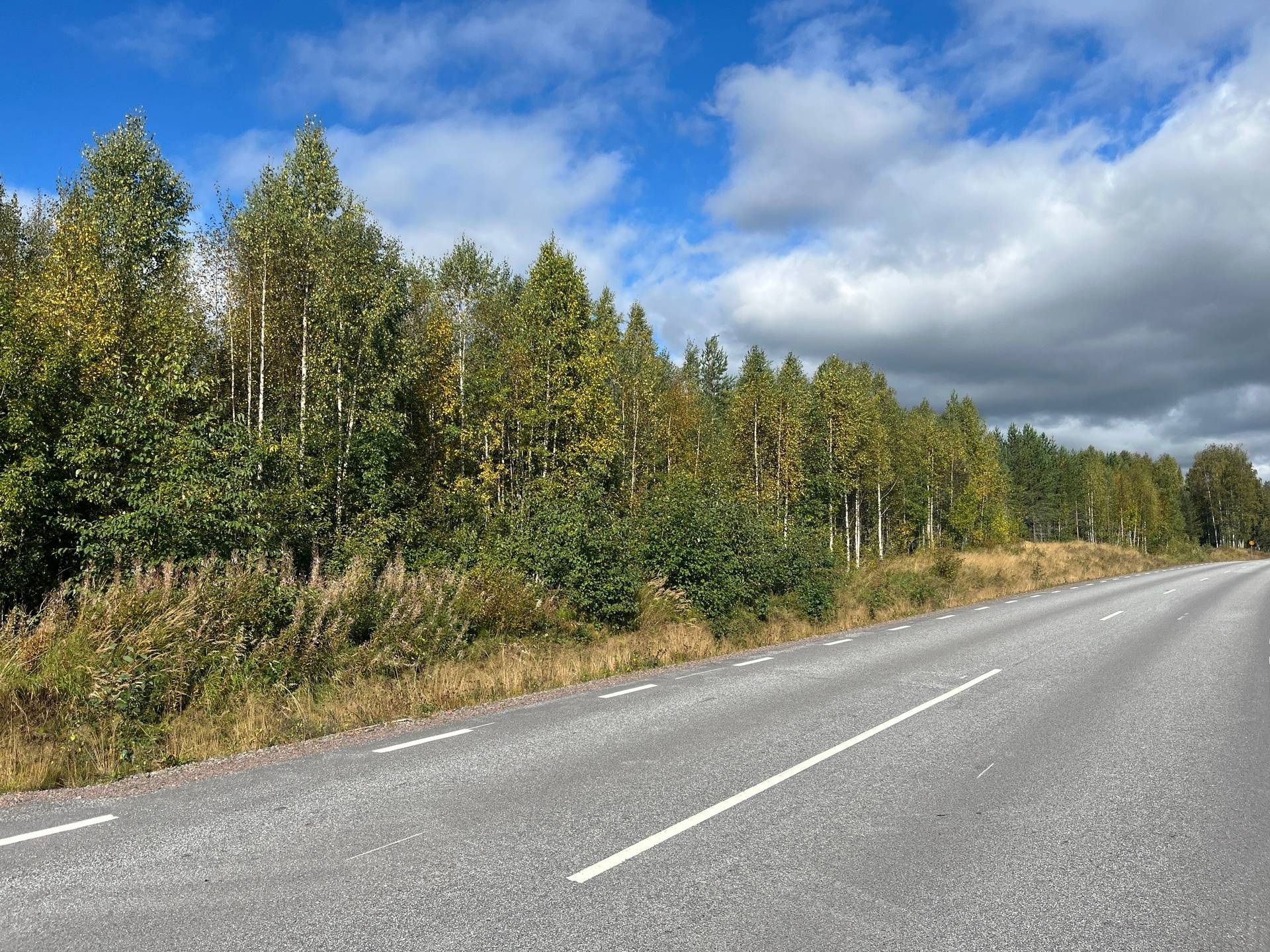 Selet, Luleå kommun