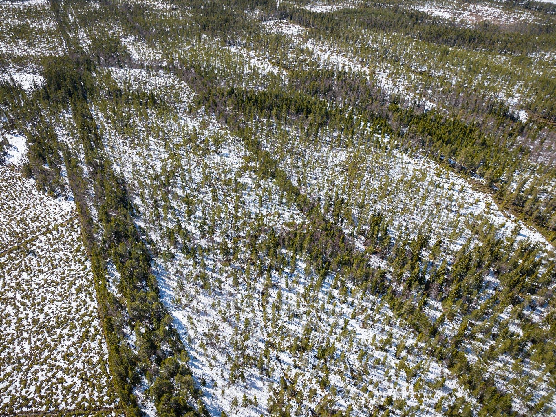 Gård/skog på Skogfastighet i Malung Jägra Malung-Sälens kommun - bild 19