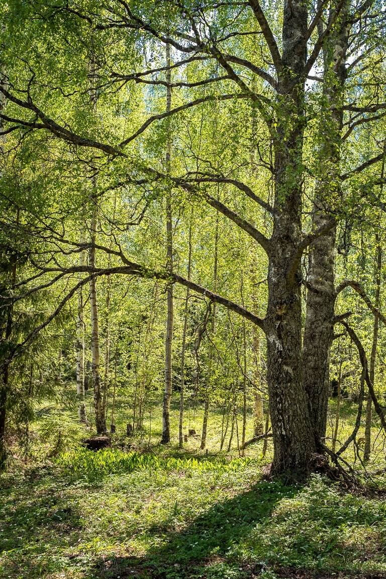 3 rum Villa på Hansebodarna 206 Hudiksvalls kommun - bild 44