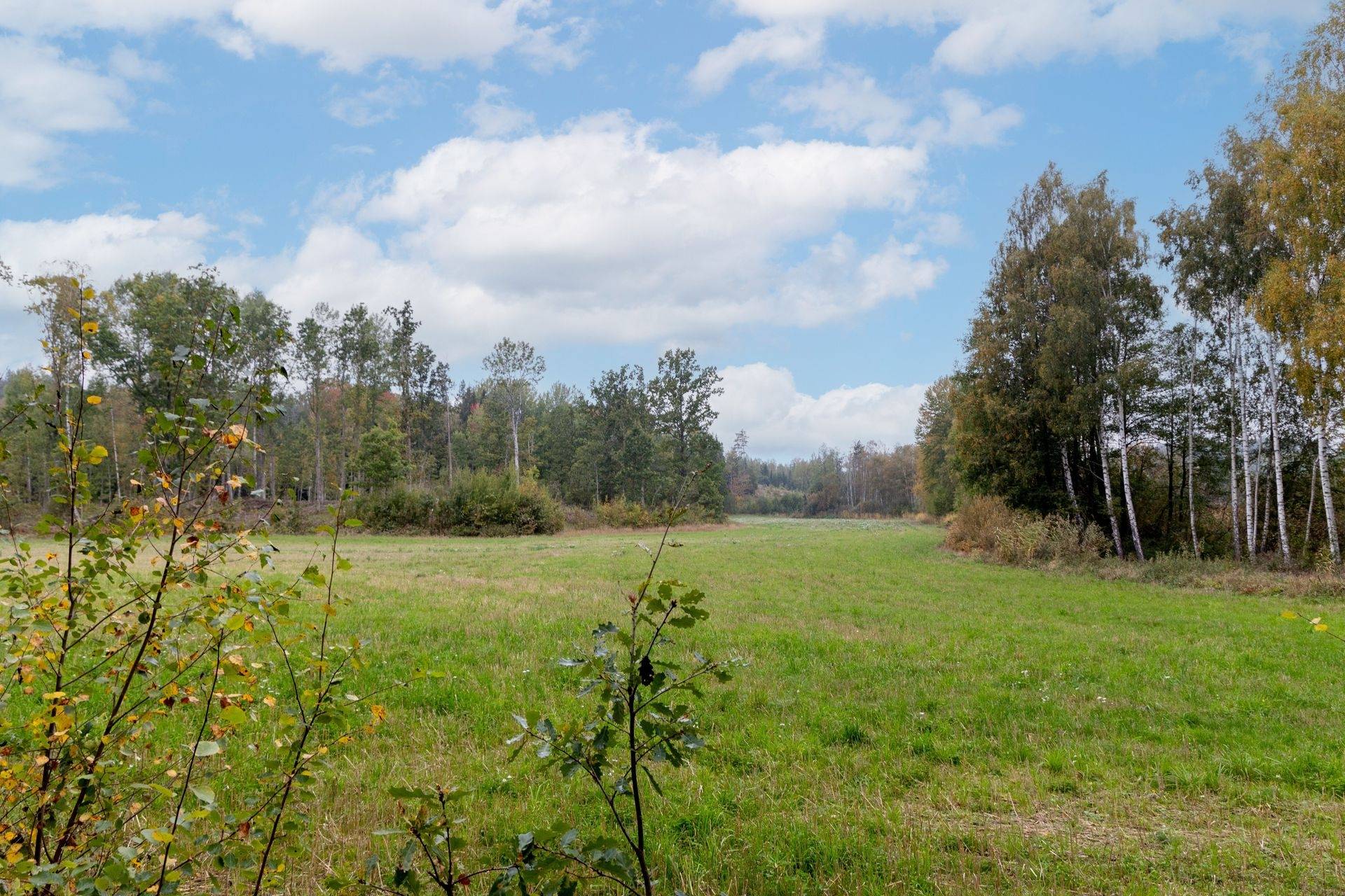 Gård/skog på Dalsebo Vena Hultsfreds kommun - bild 2
