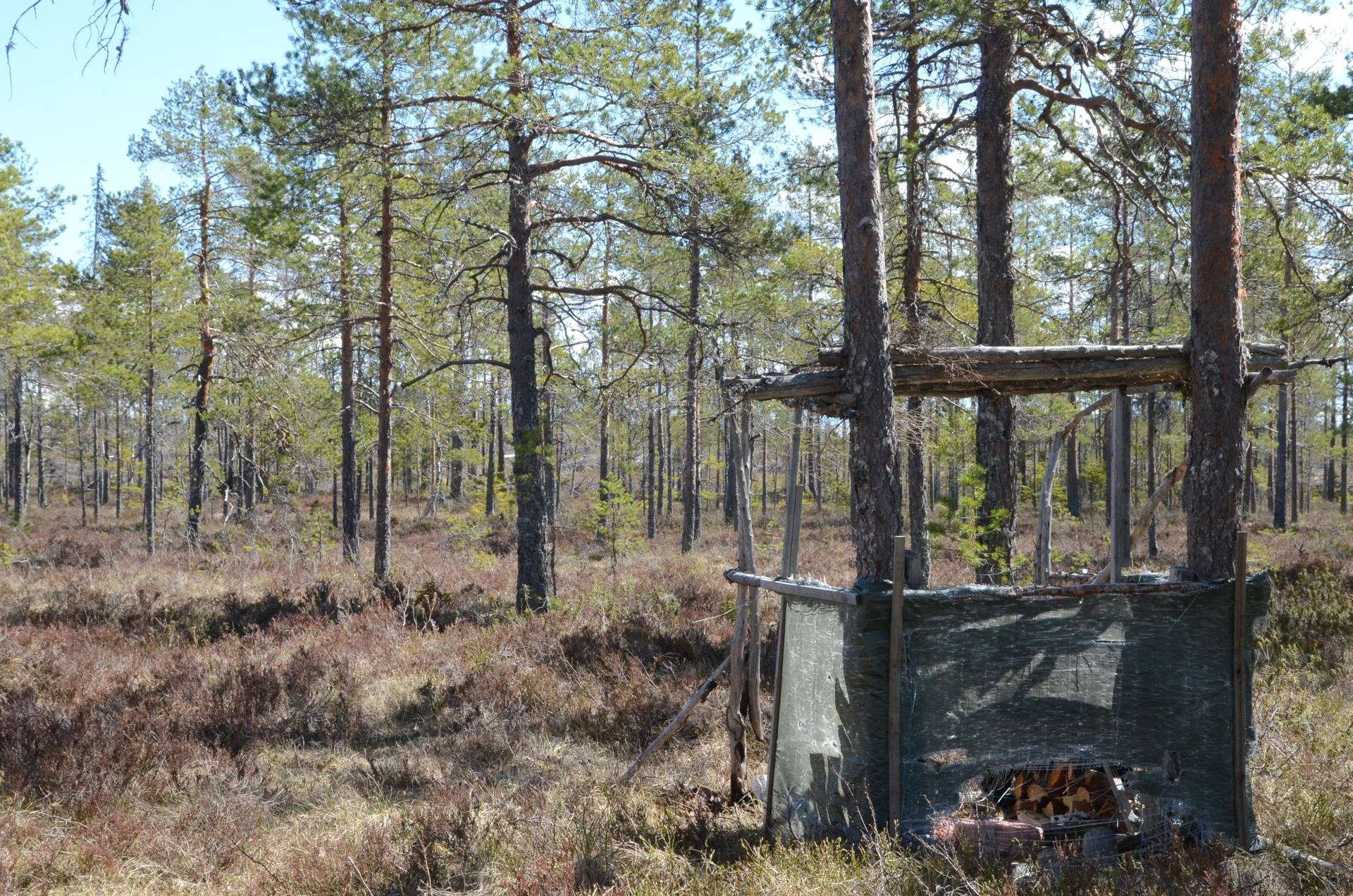 Gård med skogsbruk på Gulleråsen Rättviks kommun - bild 35