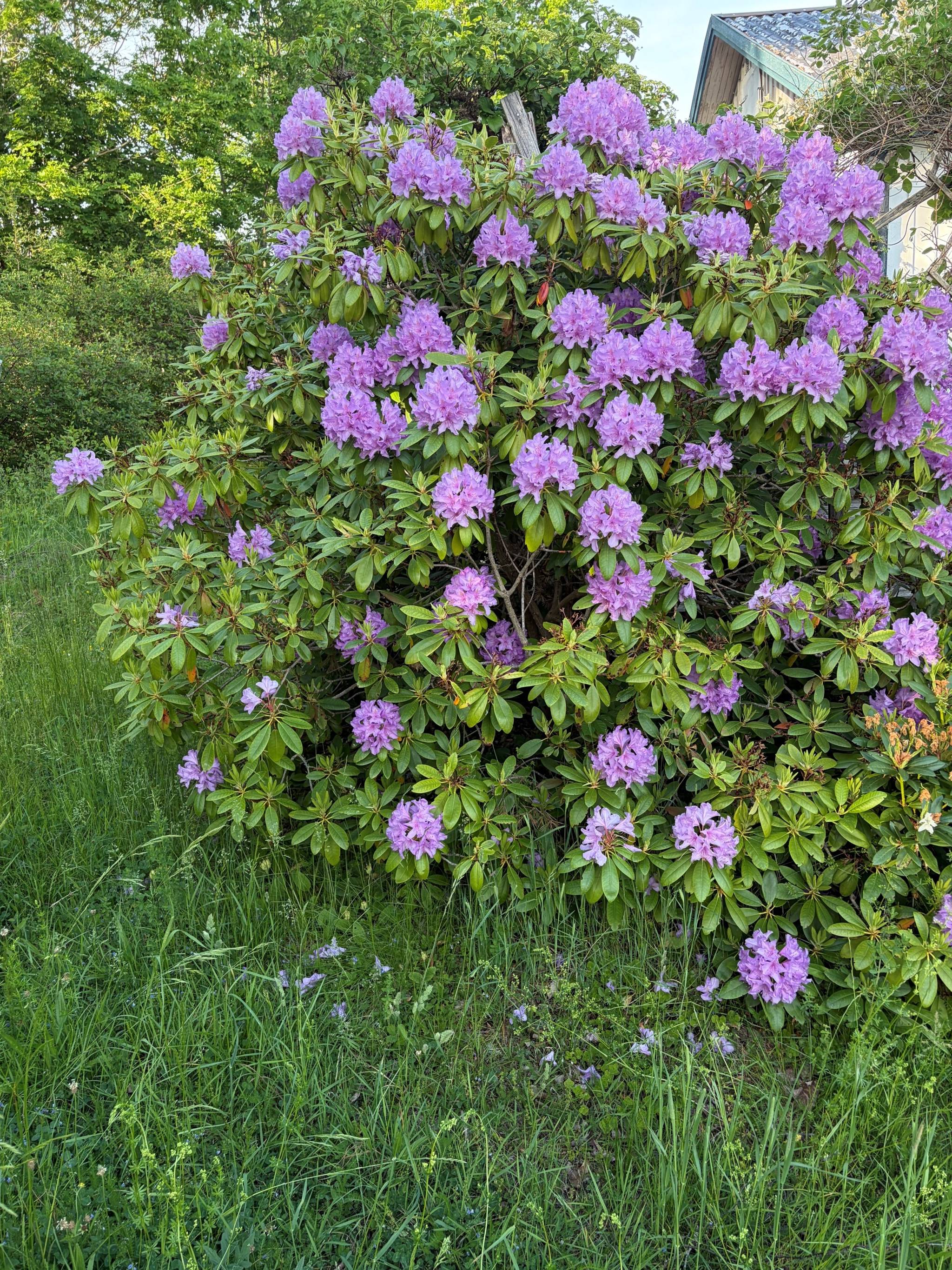 4 rum Villa på Simpnäsvägen 13 Väddö Norrtälje kommun - bild 33