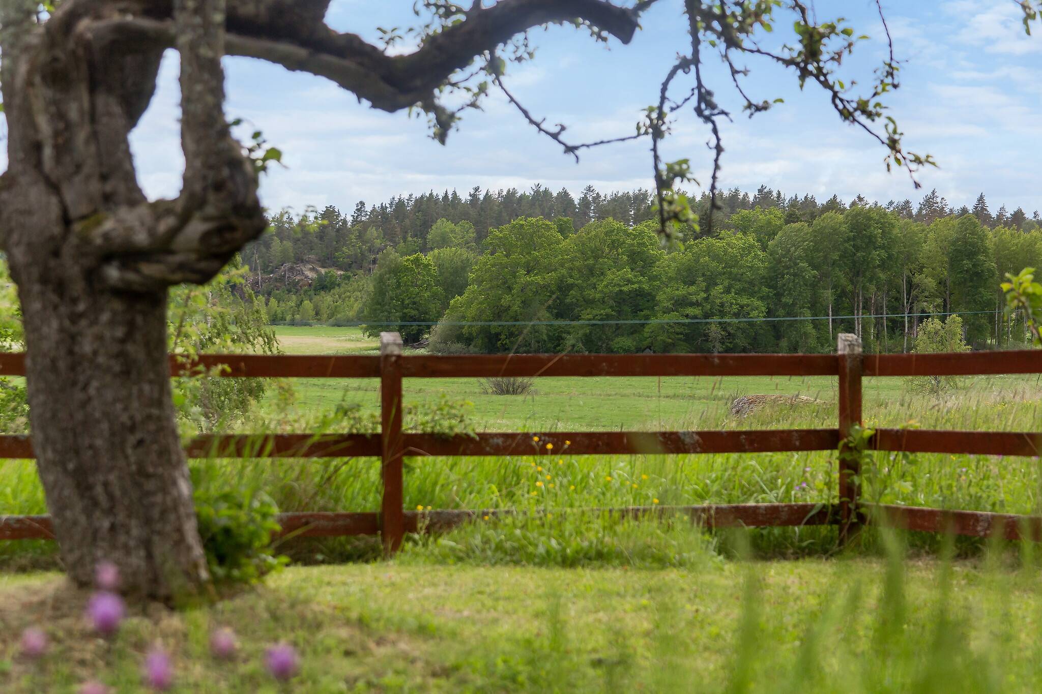6 rum Fritidshus på Hägerstads-Boda Kvistrum Rimforsa Kinda kommun - bild 5