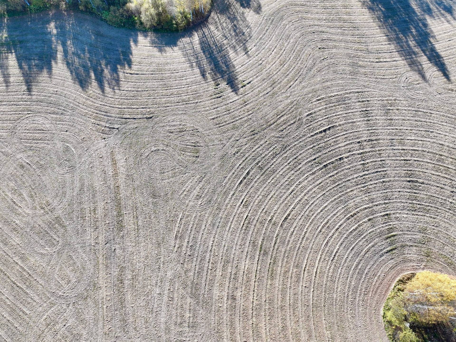 Gård/skog på Örträsk 2:38 Lycksele kommun - bild 18