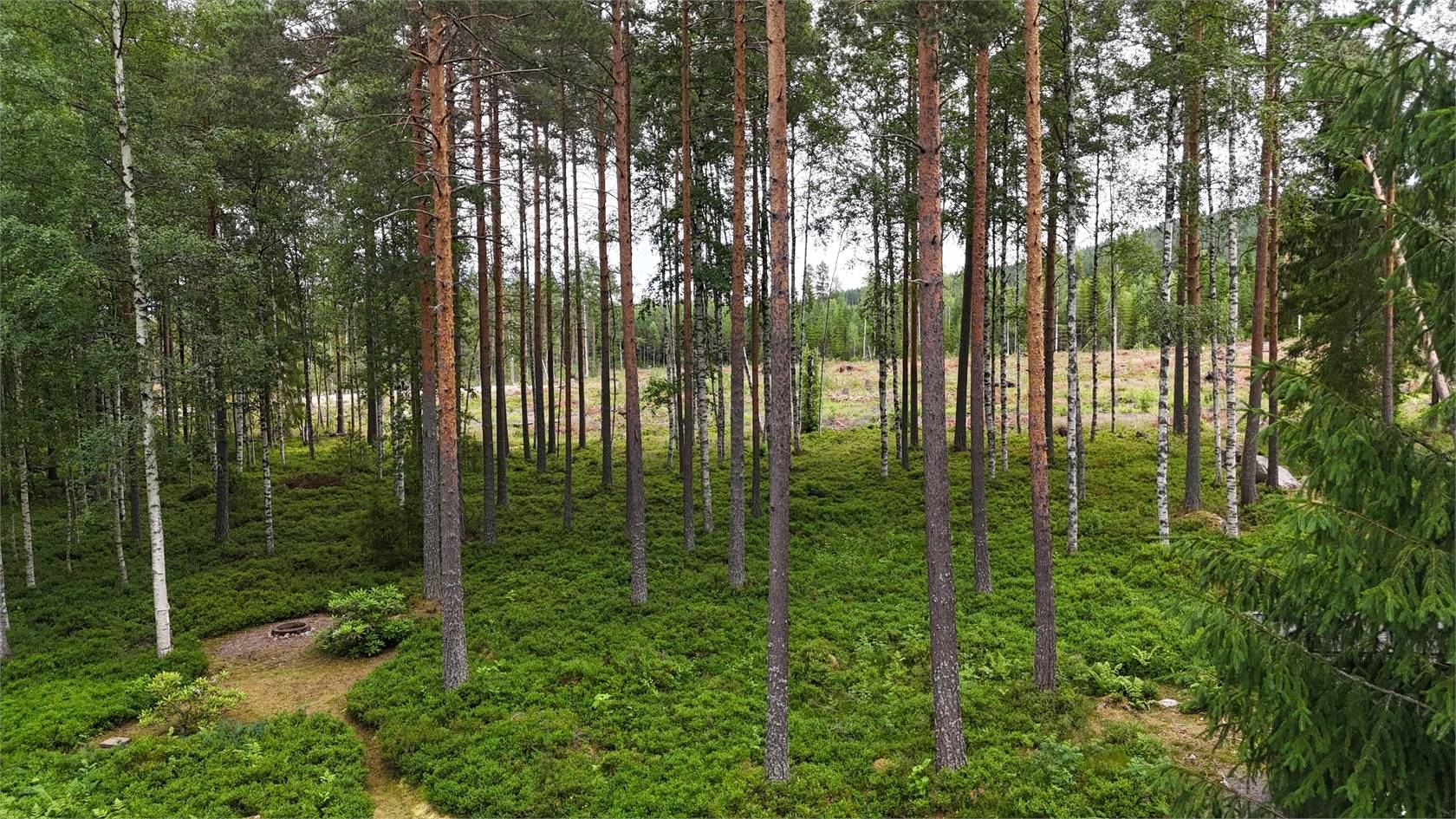 1 rum Fritidshus på Varggropvägen 16 Borlänge kommun - bild 21