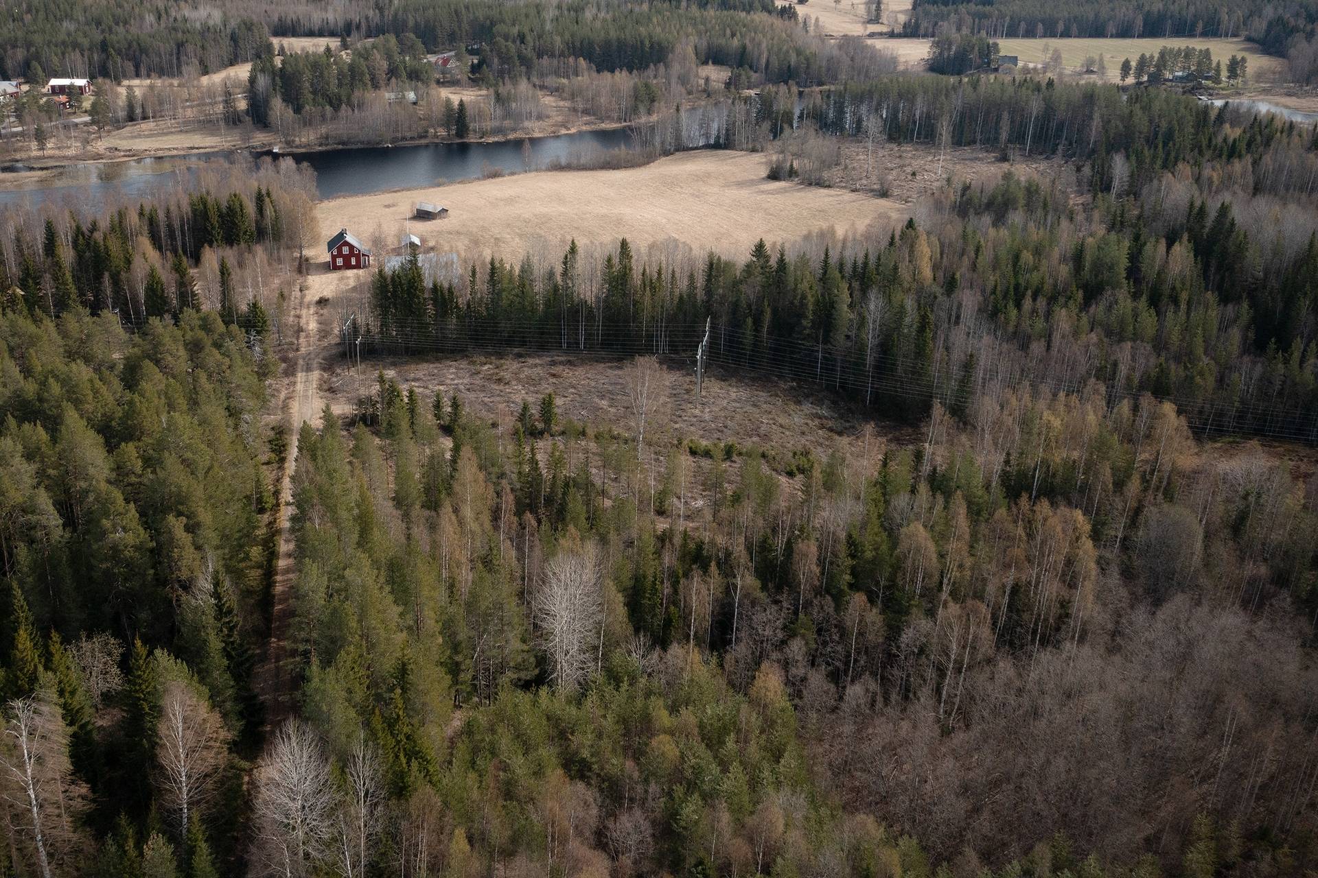 Gård/skog på Robertsforsvägen 23 Skellefteå kommun - bild 32