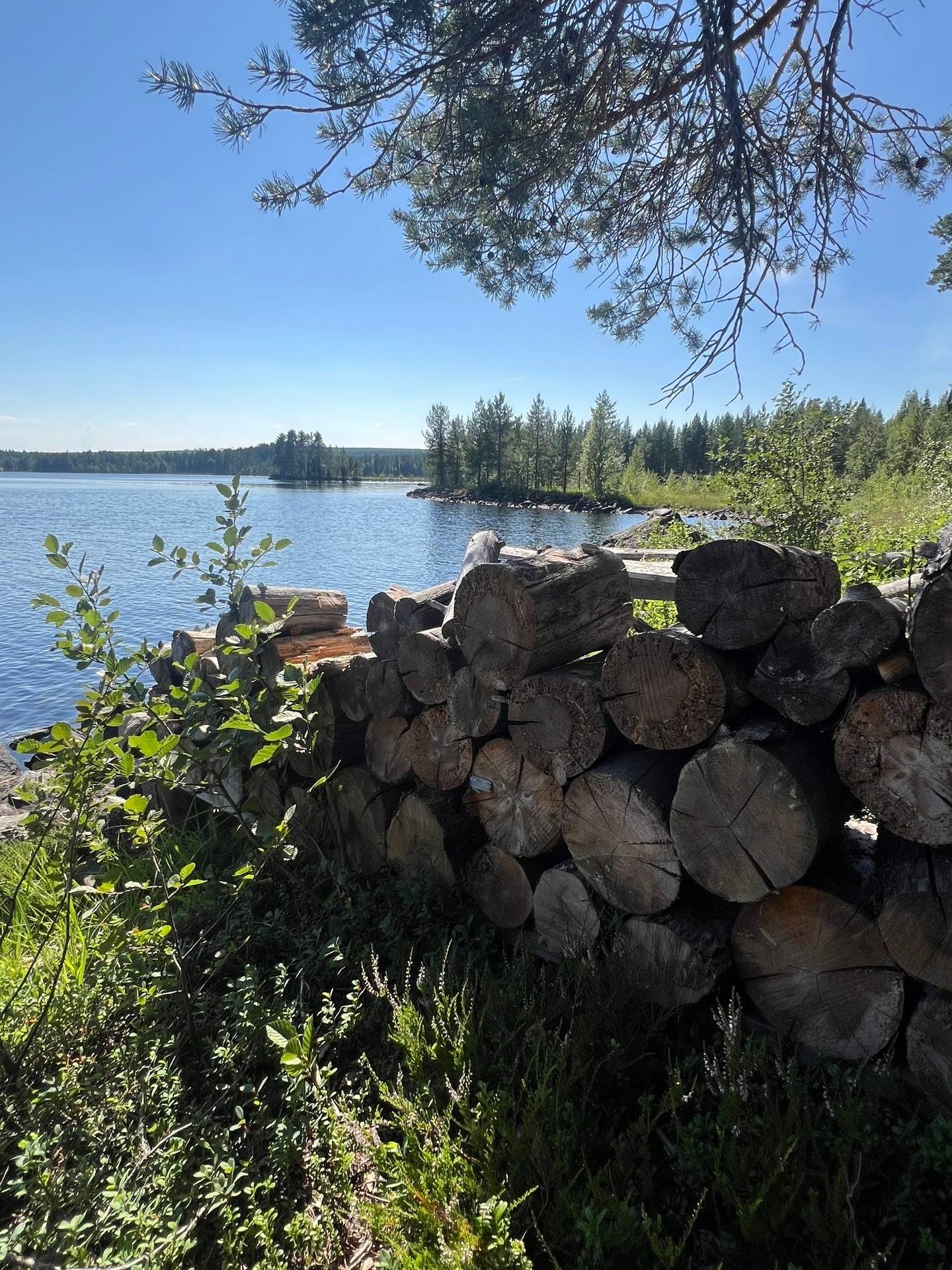 Älvsbyn, Älvsbyns kommun