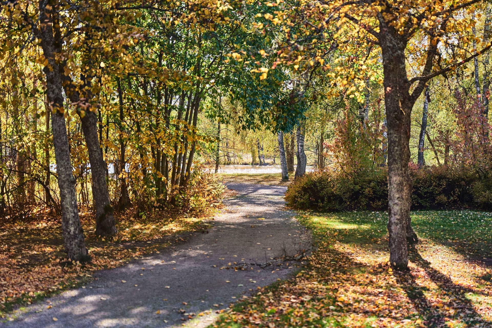 5 rum Villa på Blindgatan 64B Östanfors Falu kommun - bild 48