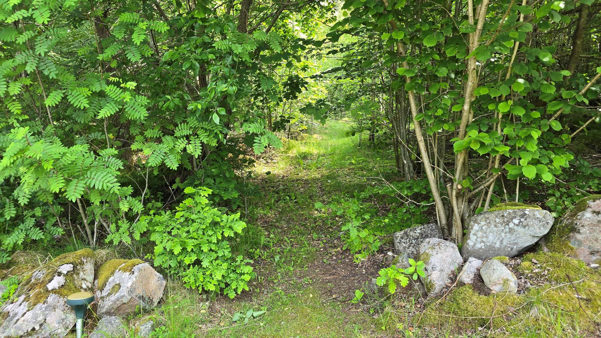 4 rum Vinterbonat fritidshus på Bassalt 11 Laholms kommun - bild 100