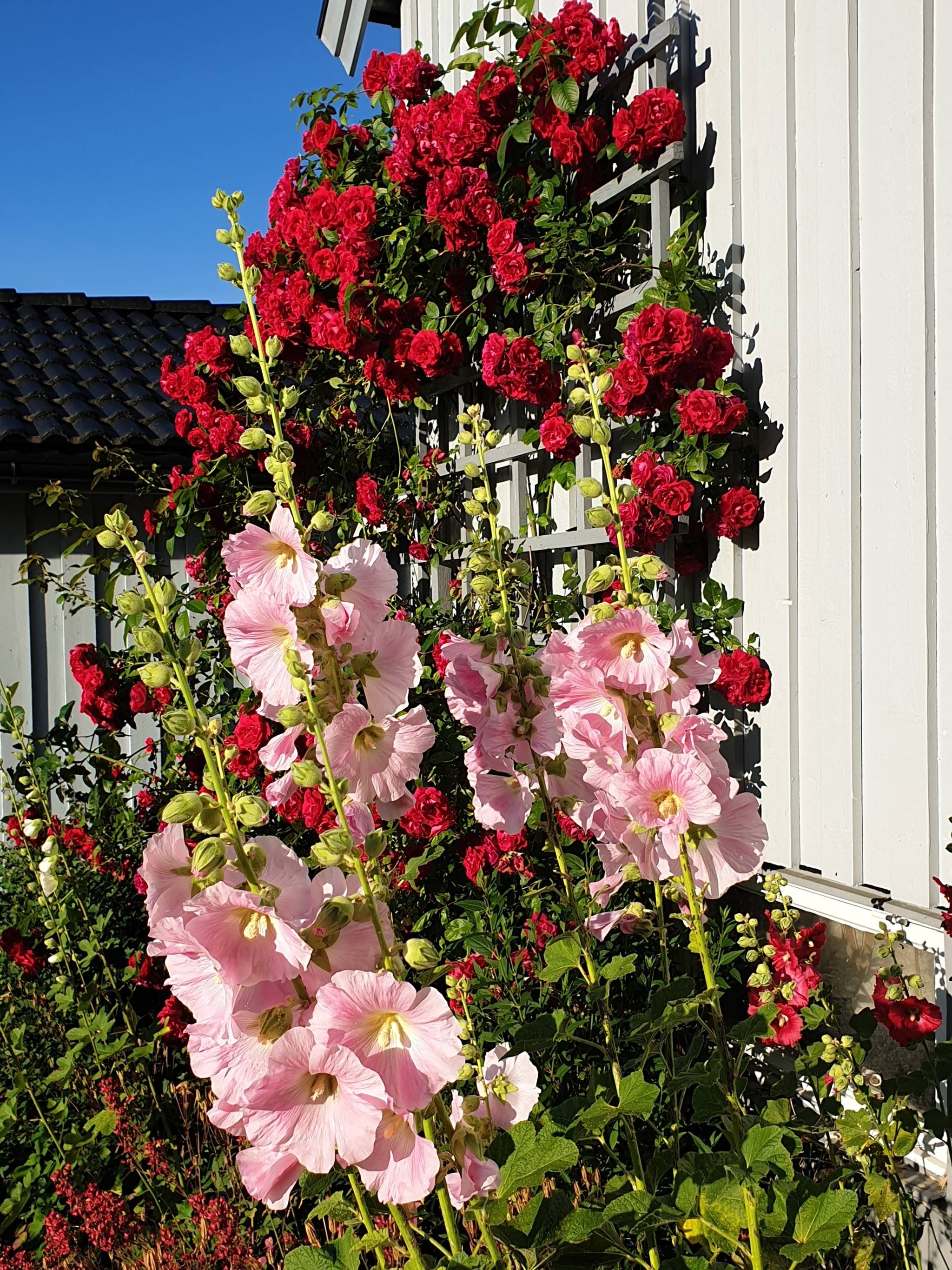 5 rum Villa på Bergsvägen 7 Kissleberg Uddevalla kommun - bild 5