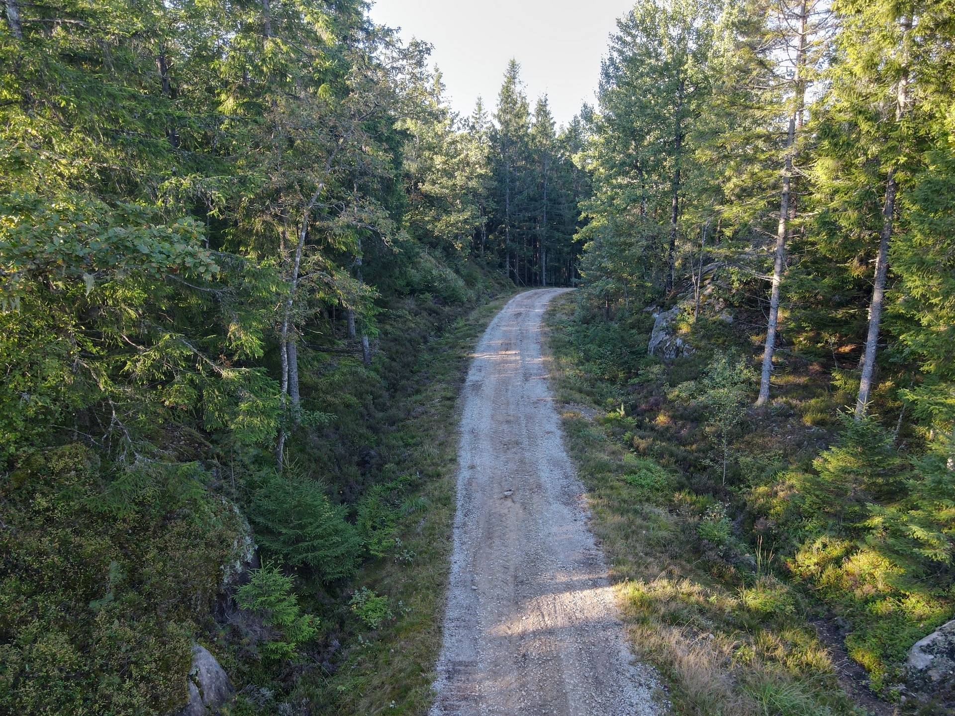 Gård/skog på Skogsfastighet i Hogstorp Hogstorp Uddevalla kommun - bild 1
