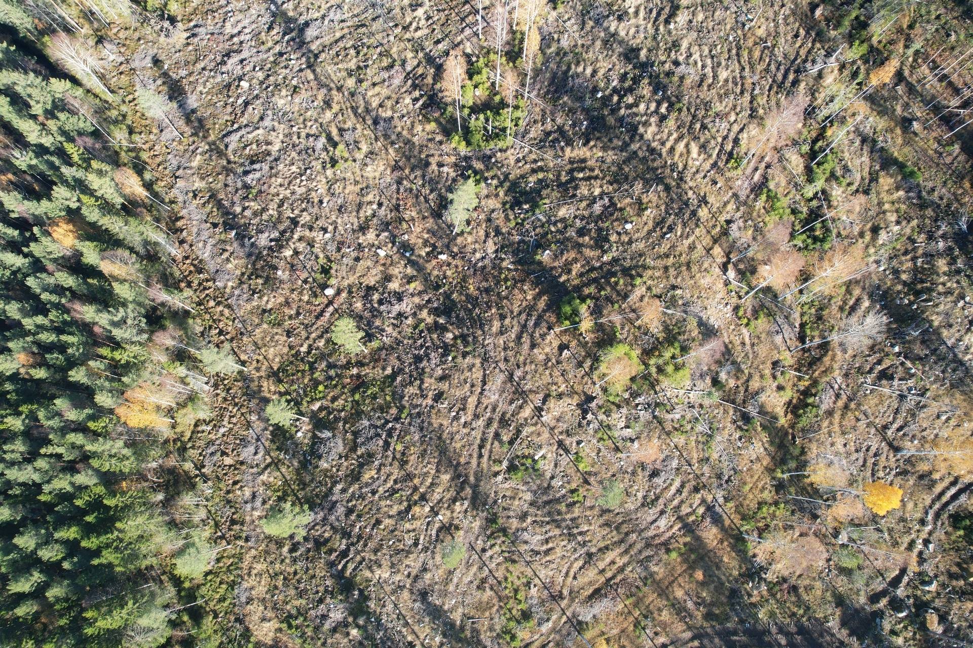 Gård med skogsbruk på Utanmyra Falu kommun - bild 16