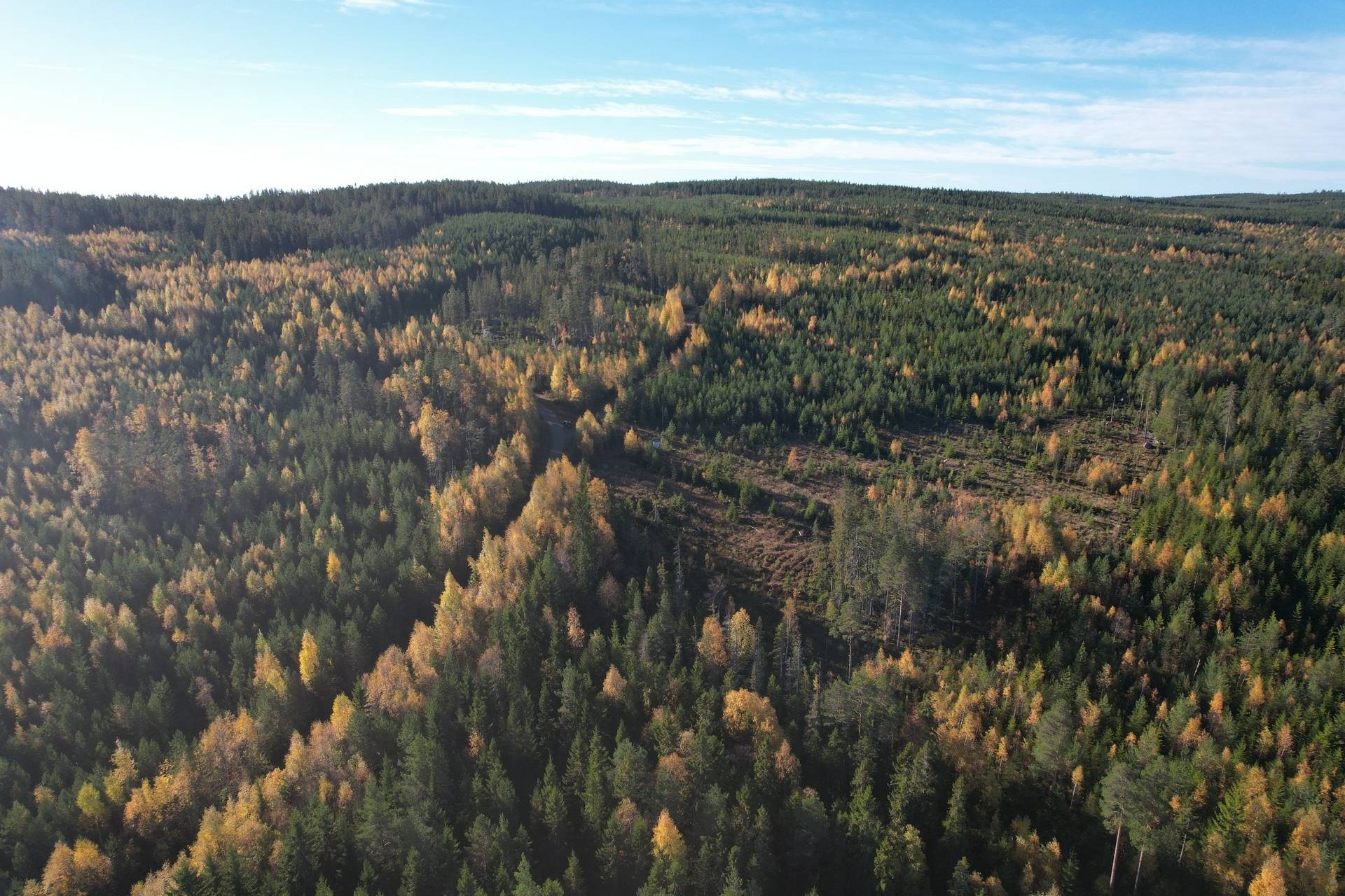 Gård med skogsbruk på Österfors Gagnefs kommun - bild 21