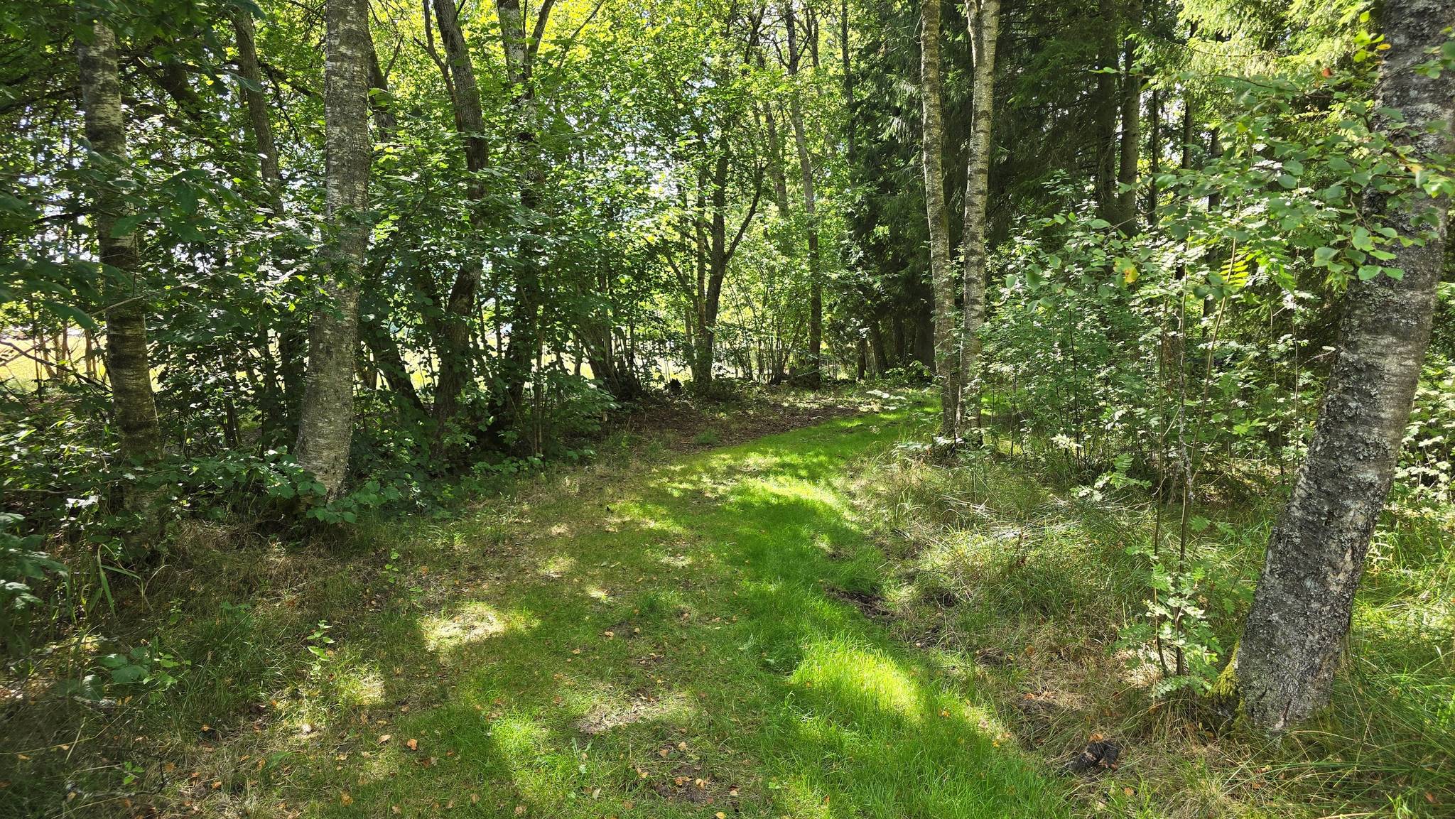 3 rum Vinterbonat fritidshus på Yxenhult 7358 Örkelljunga kommun - bild 6
