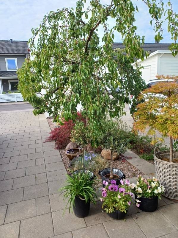 5 rum Lägenhet på Odens väg 30 A Skummeslövsstrand Laholms kommun - bild 26