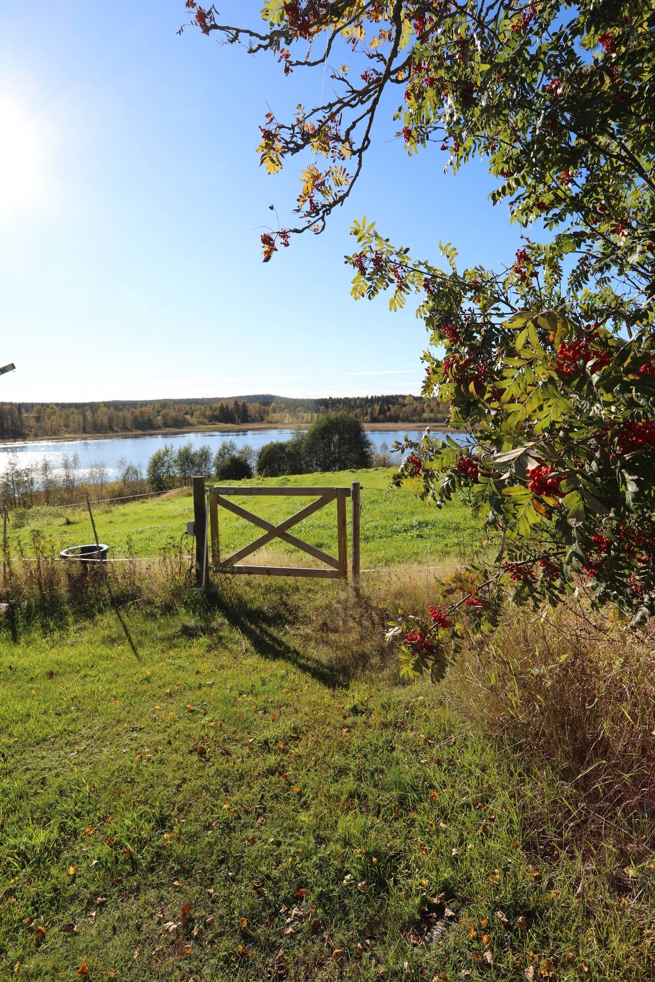 Gård med jordbruk på Kasa 145 Husum Örnsköldsviks kommun - bild 39
