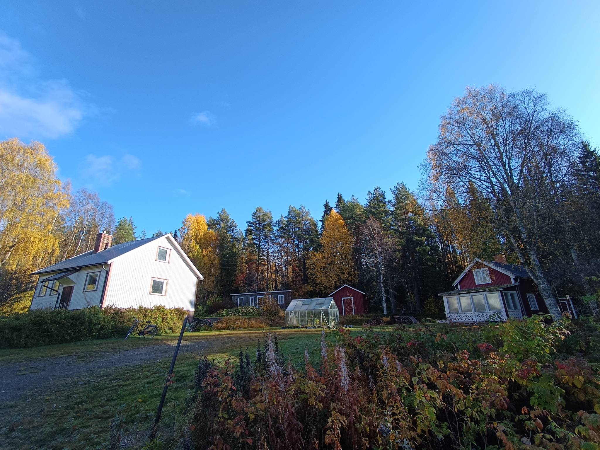 6 rum Gård/skog på Västra Ormsjö 216 Västra Ormsjö Dorotea kommun - bild 1